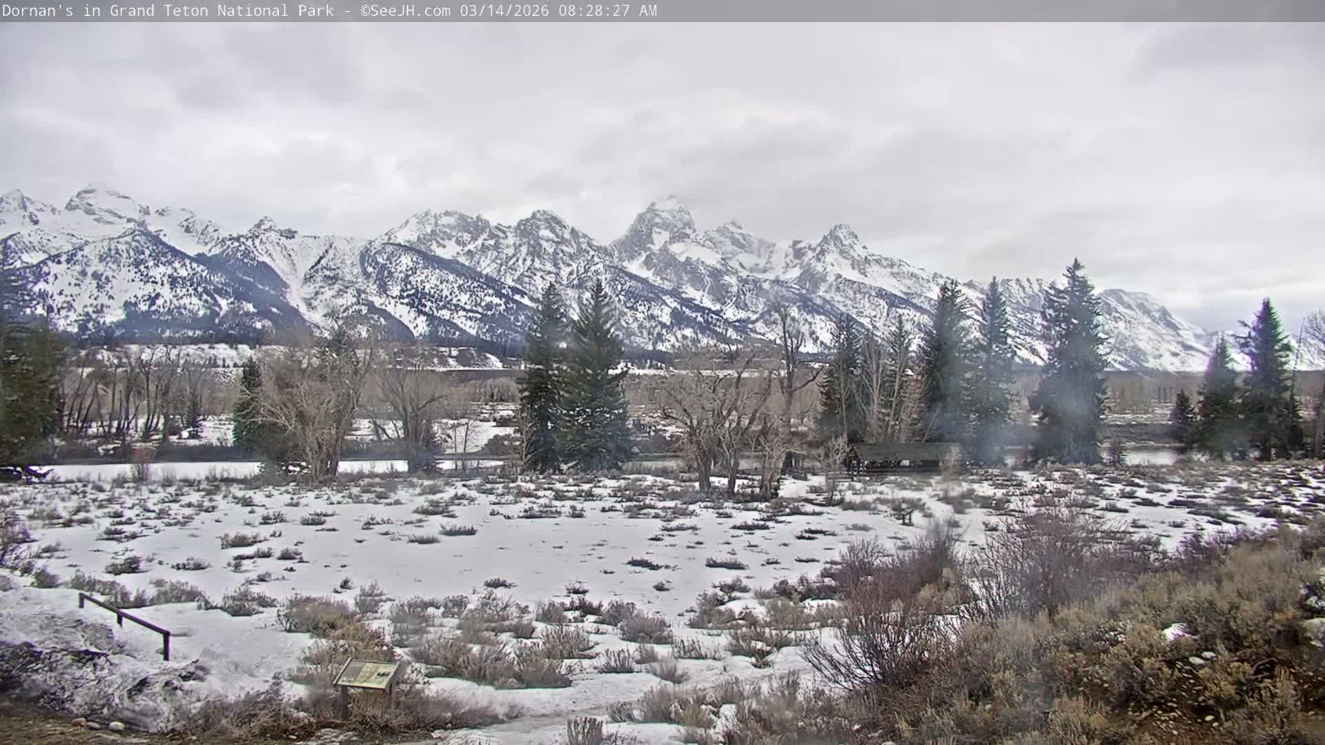 Grand Teton National Park  Live Cam - Moose, Teton, Wyoming, USA