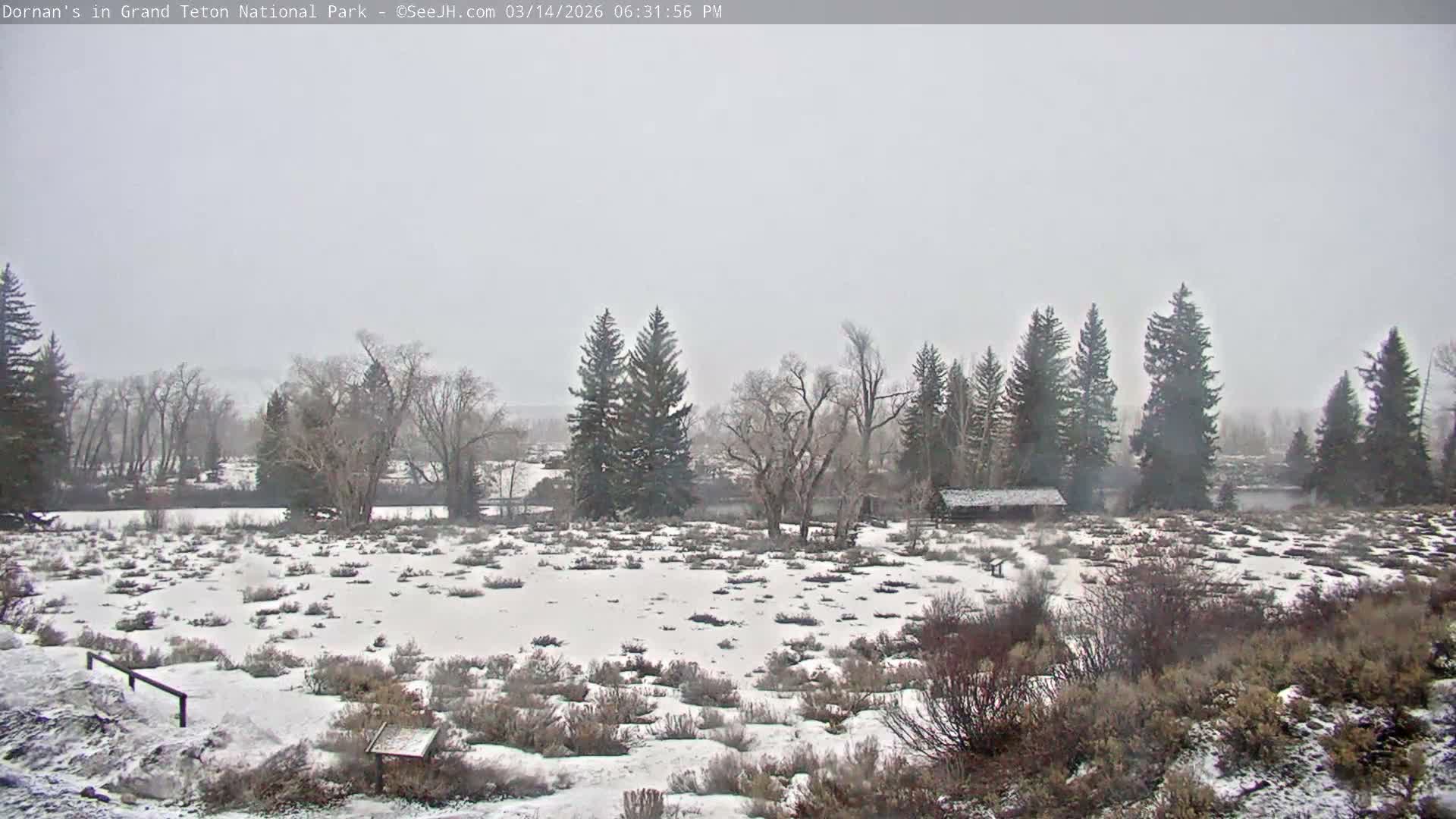 Grand Teton National Park  Live Cam - Moose, Teton, Wyoming, USA