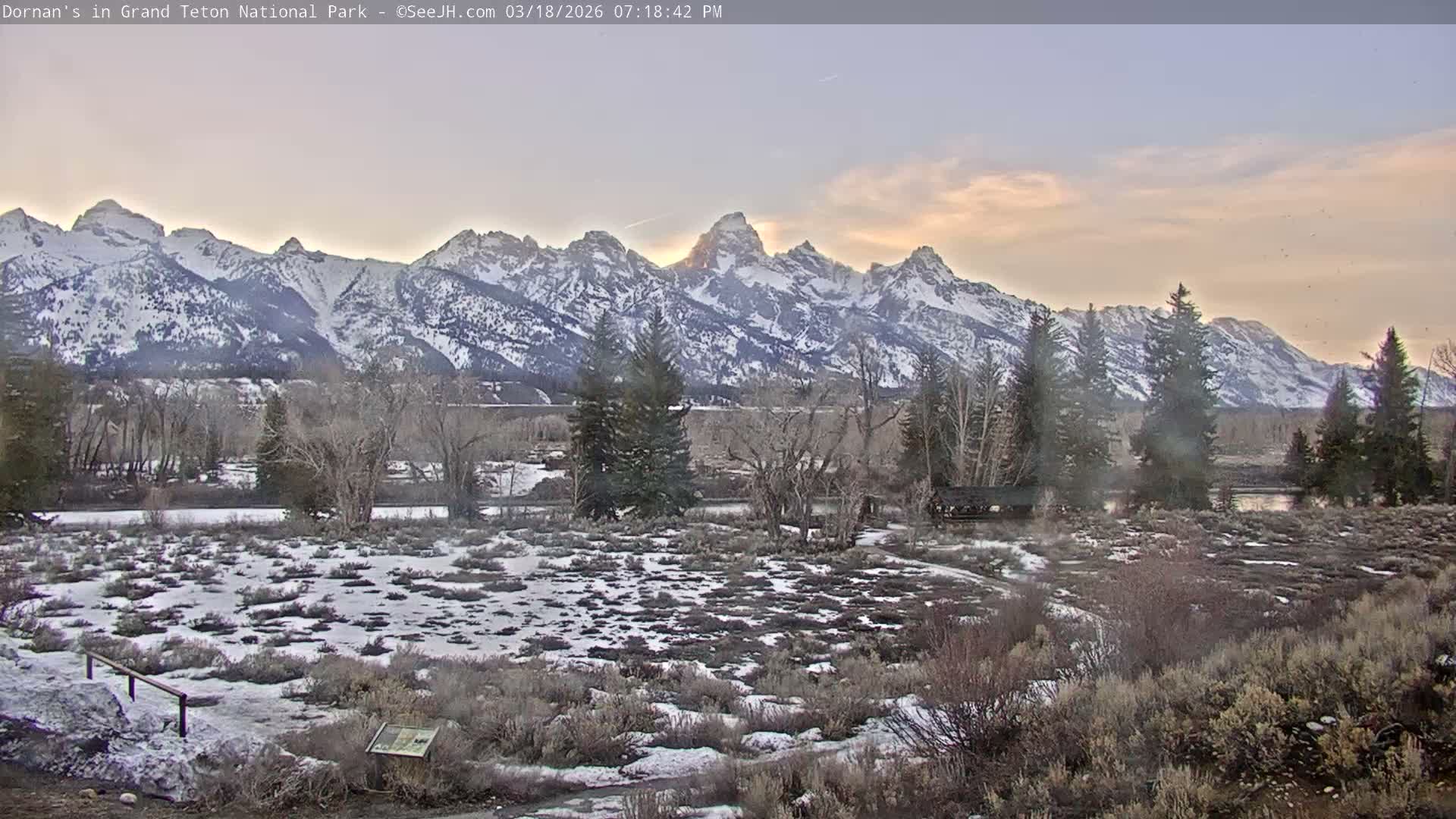 Grand Teton National Park  Live Cam - Moose, Teton, Wyoming, USA