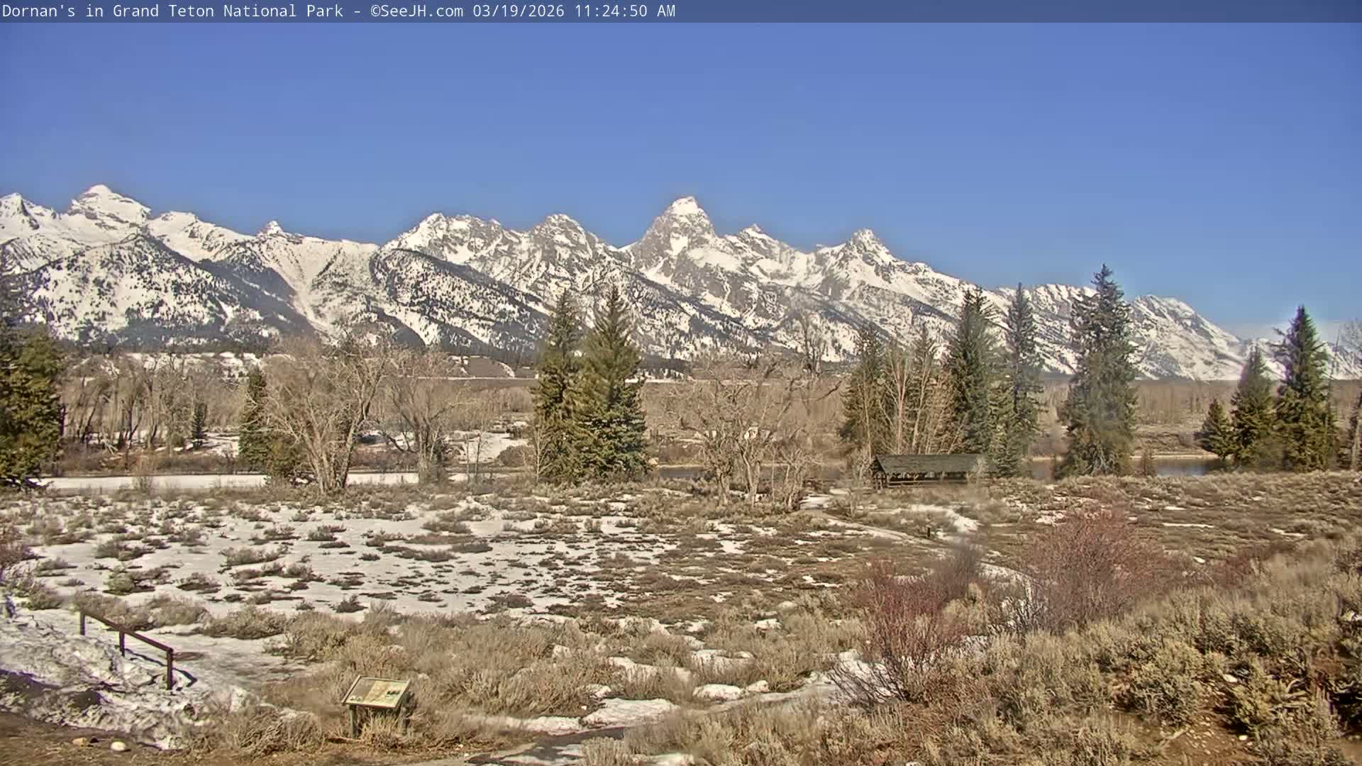 Grand Teton National Park  Live Cam - Moose, Teton, Wyoming, USA