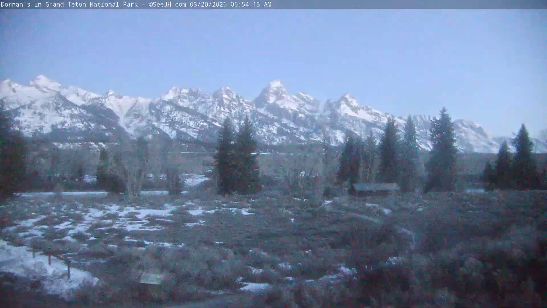 Grand Teton National Park  Live Cam - Moose, Teton, Wyoming, USA