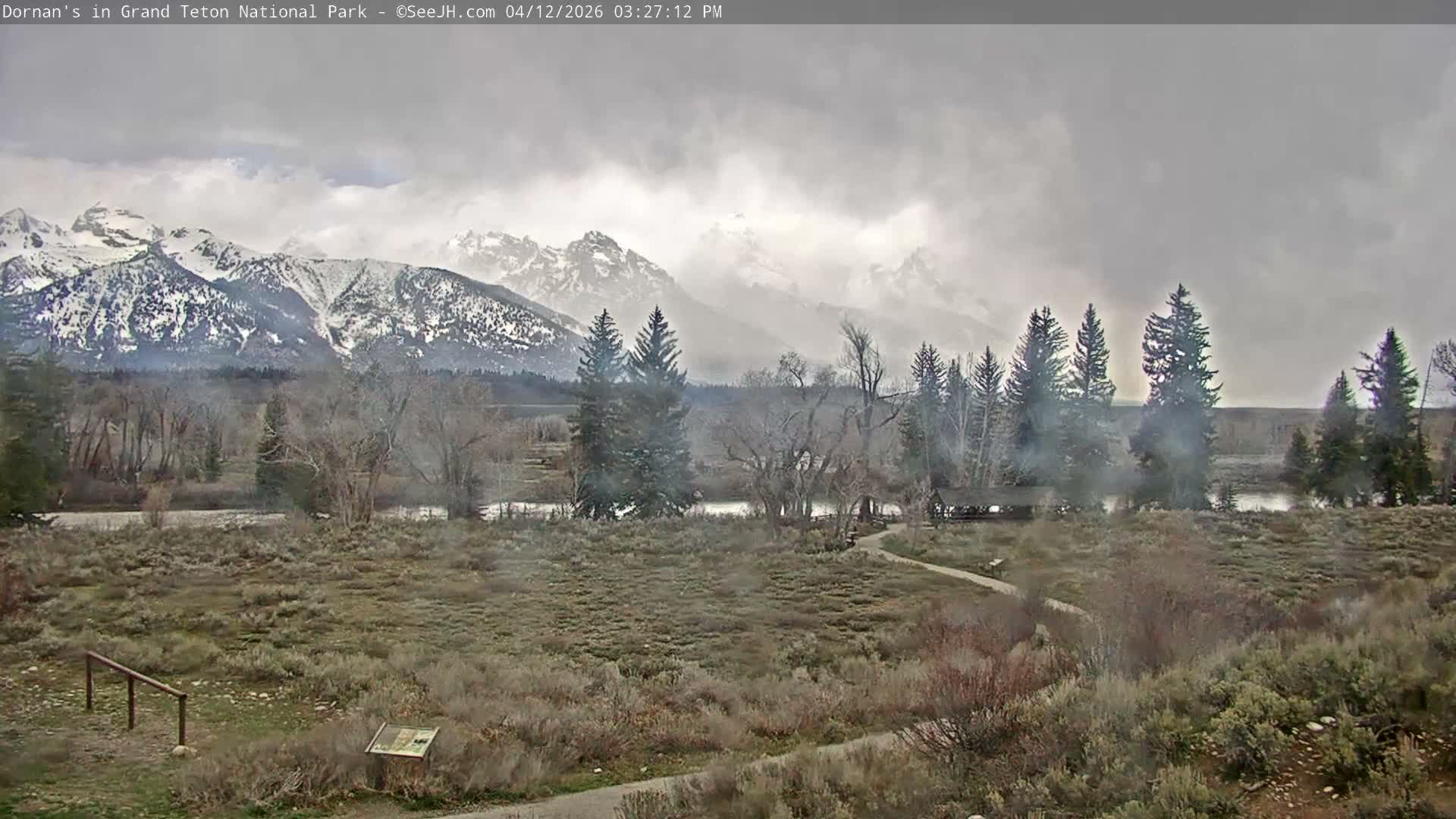 Grand Teton National Park  Live Cam - Moose, Teton, Wyoming, USA