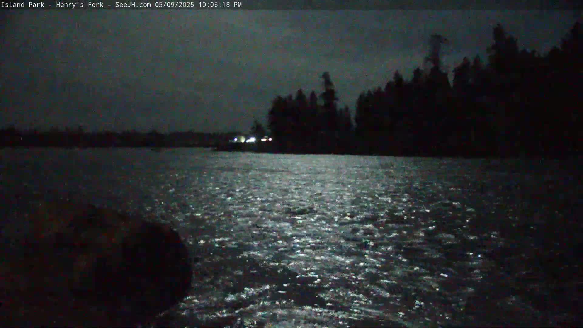 A dark, moonlit body of water with a silhouetted treeline in the distance under a mostly clear night sky.