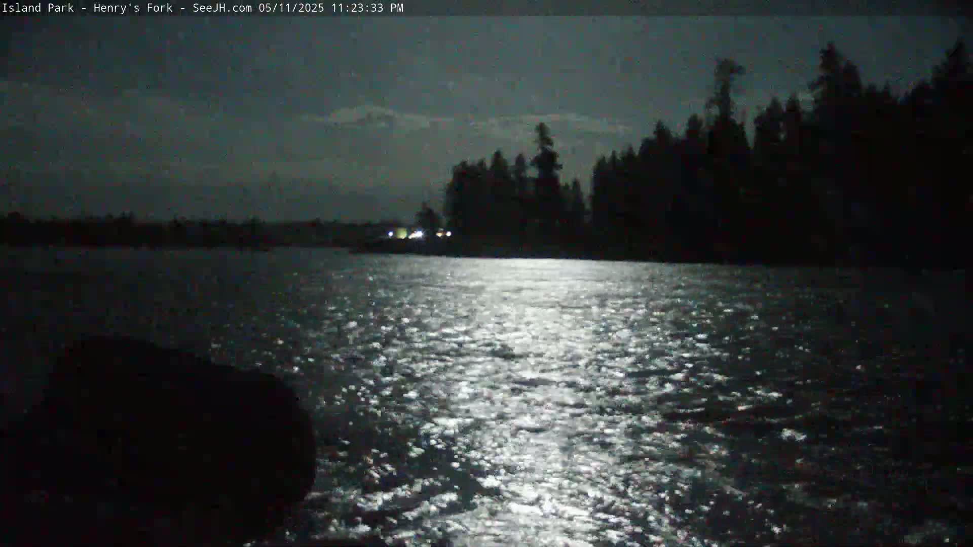 A moonlit body of water reflects light, with a dark treeline visible in the distance under a mostly clear night sky.