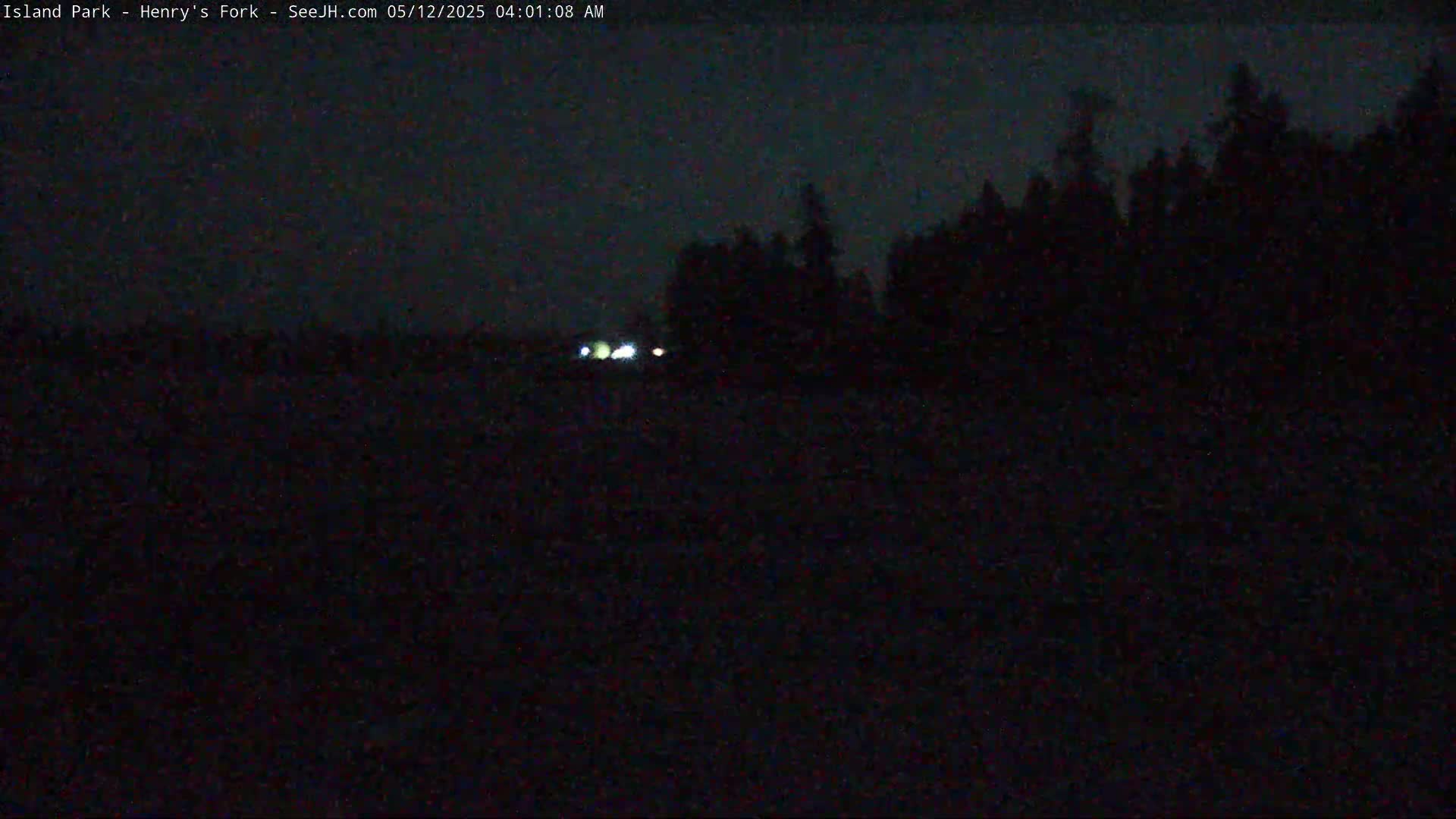 A dark, nighttime scene shows a silhouetted treeline in the distance, with faint lights visible in the lower center.