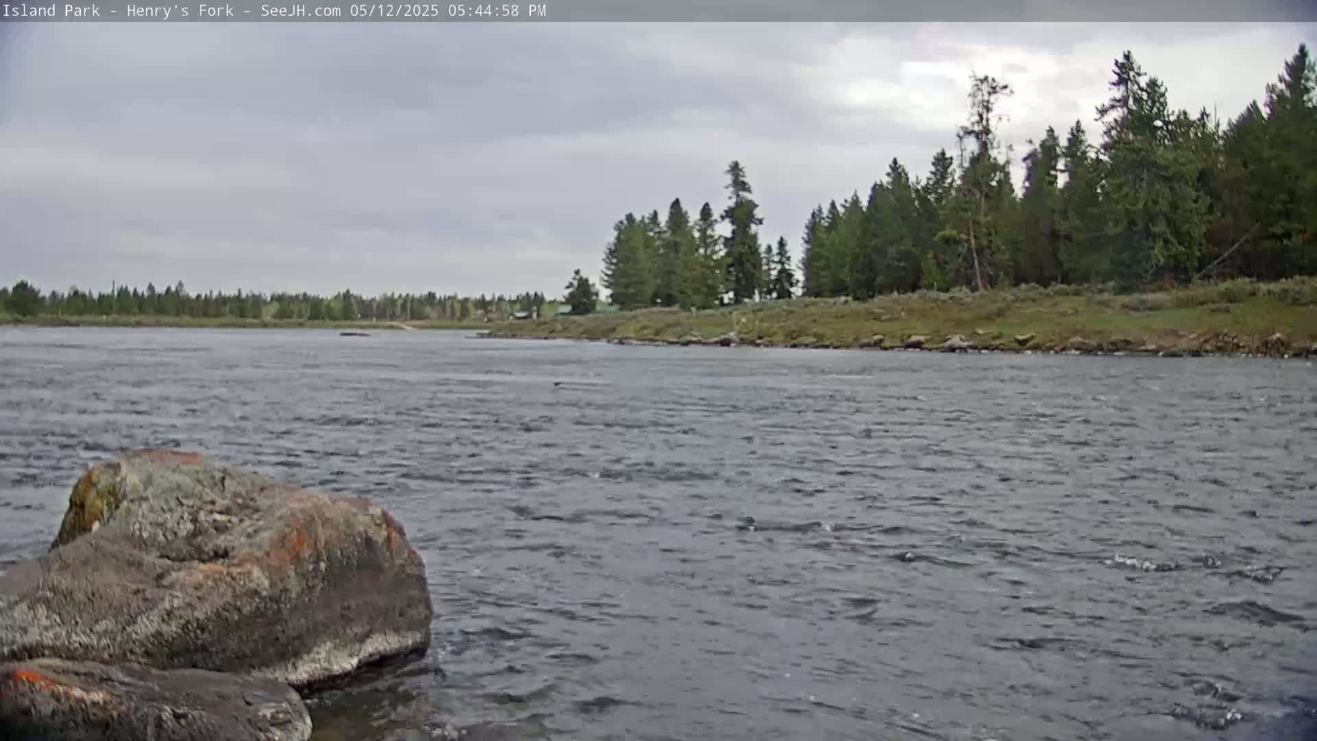 A rocky riverbank with a few large rocks in the foreground, flows into a calm river under a cloudy sky, past a line of evergreen trees on the opposite bank.