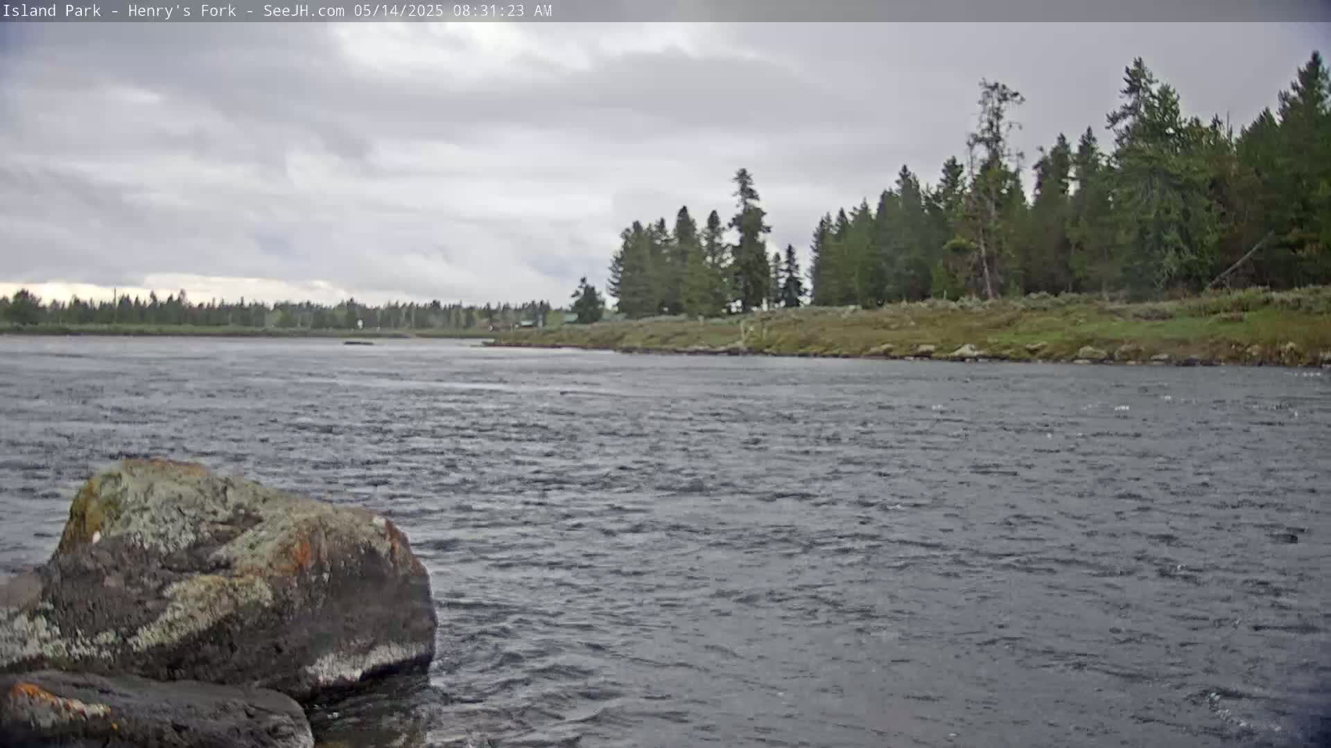 A wide, grey river flows under an overcast sky past a rocky shoreline lined with evergreen trees.