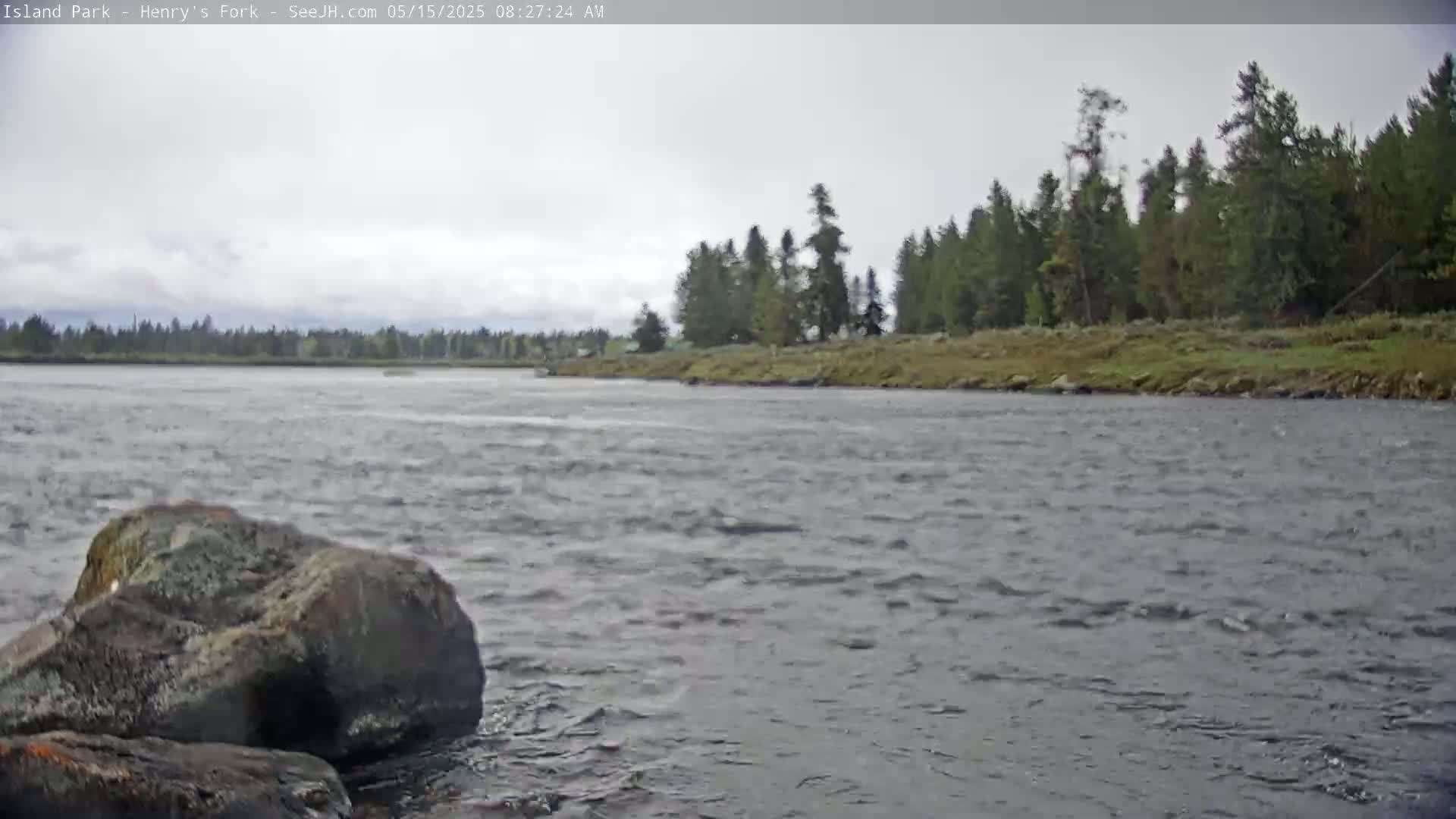 A rocky riverbank with a line of evergreen trees under an overcast sky is visible across a choppy river.