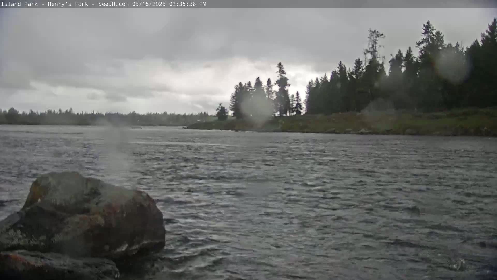 A rocky riverbank with a stand of dark evergreens is visible across a choppy river under a gray, rainy sky.
