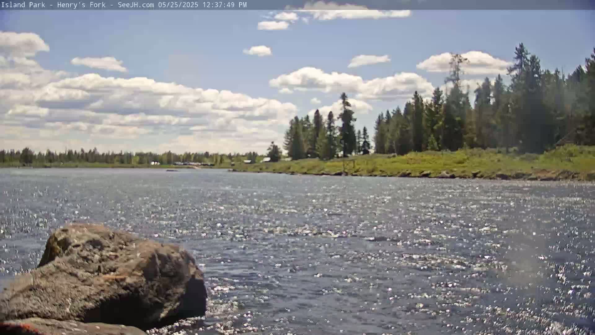 A partly cloudy sky overlooks a river flowing gently past a rocky shore and a line of evergreen trees.