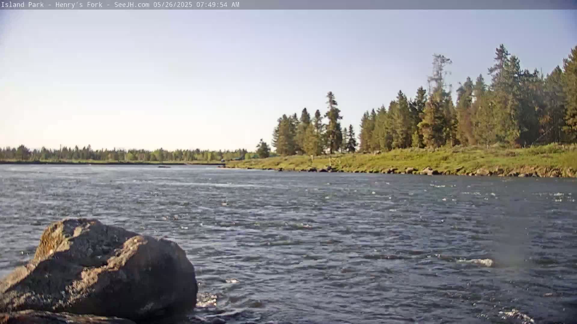 A rocky river flows under a clear sky past a forested riverbank.