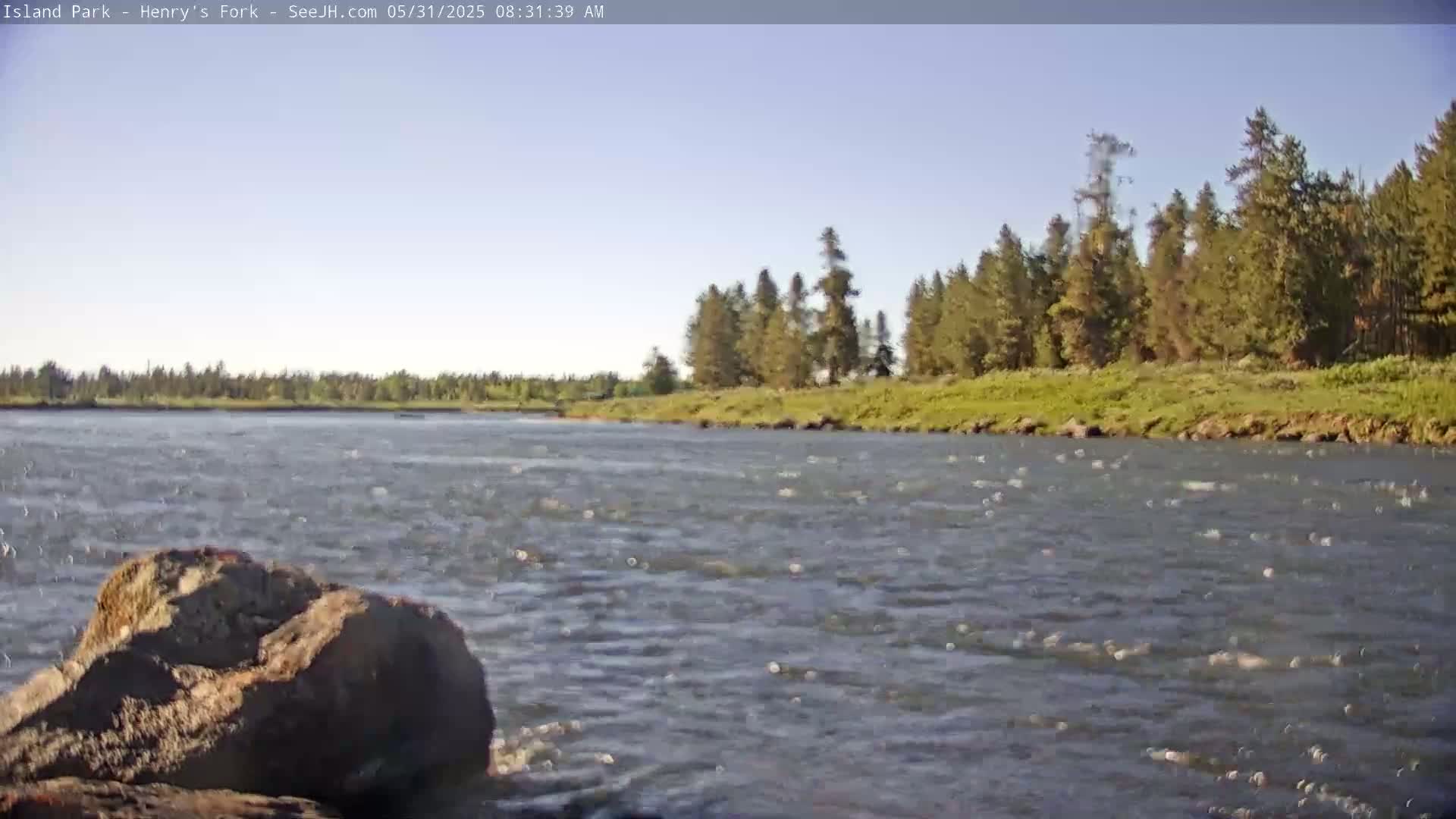 A rocky riverbank with a line of evergreen trees in the background under a clear, sunny sky.