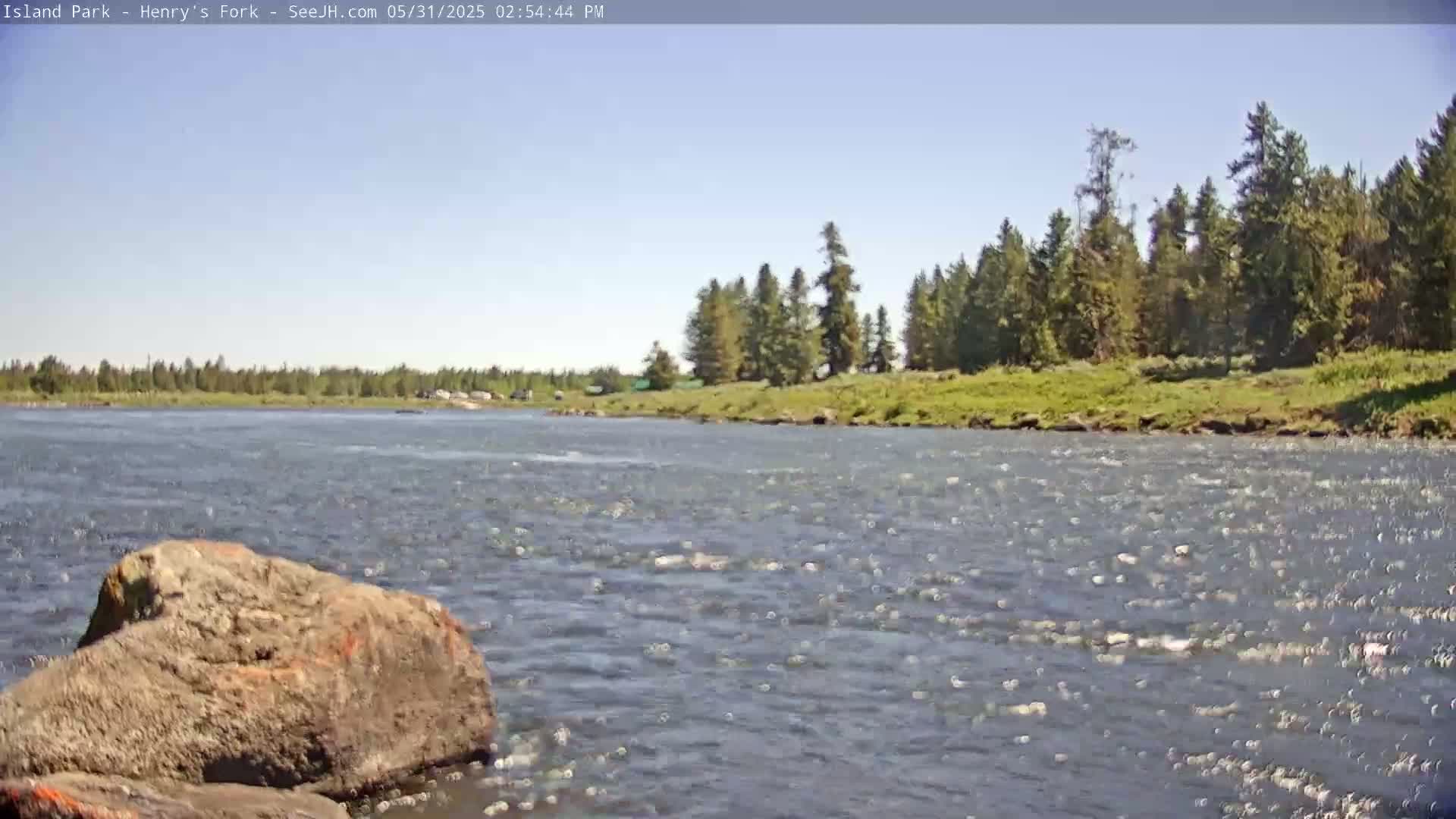 A rocky river flows under a clear blue sky past a grassy bank lined with evergreen trees.