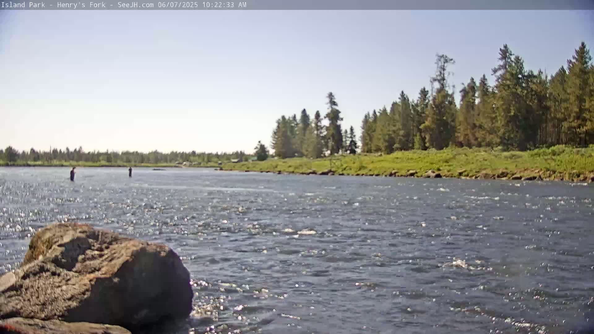 Two people are fly fishing in a swiftly flowing river under a clear, sunny sky, with a verdant, tree-lined bank in the background.