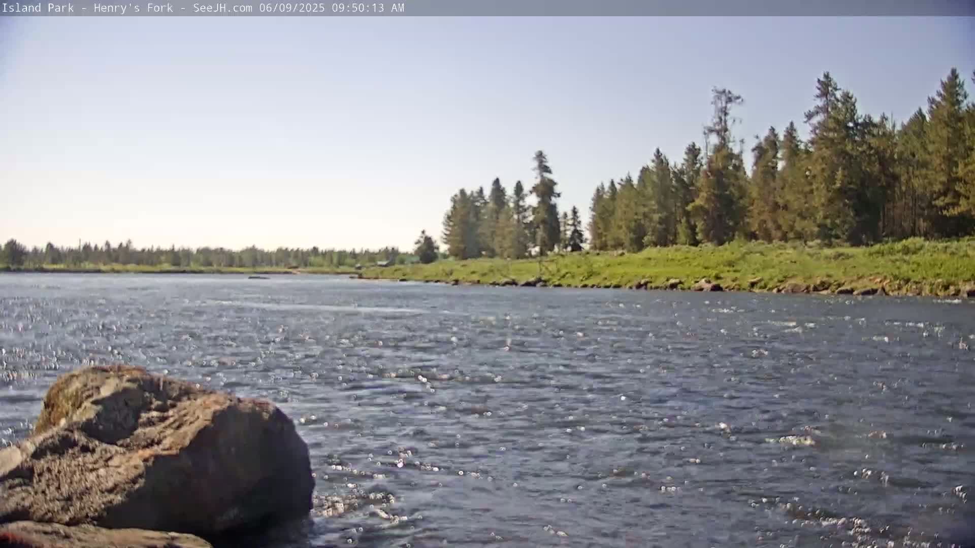 A rocky riverbank borders a gently flowing river under a clear sky, with a line of evergreen trees visible in the background.