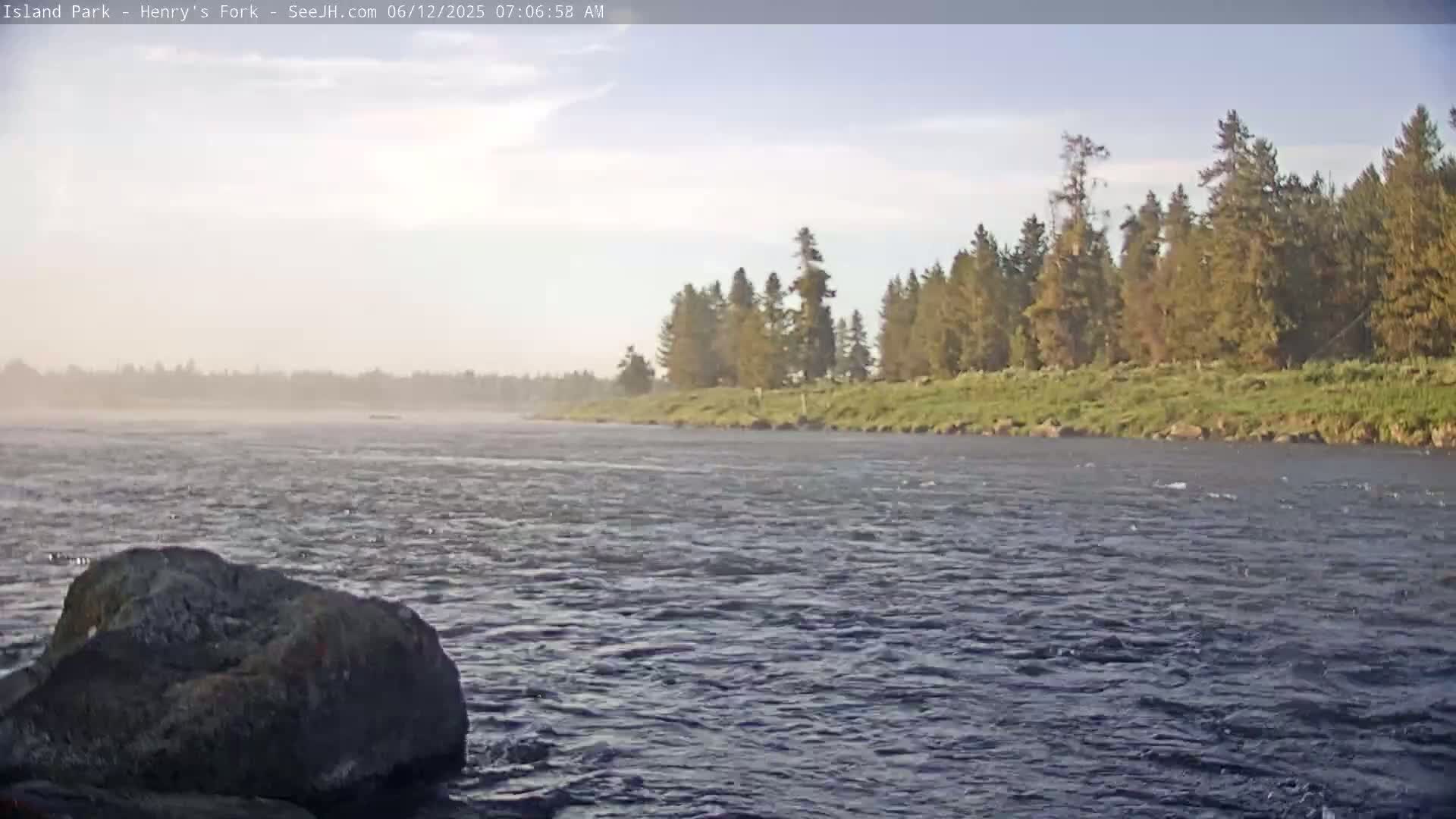 A wide, flowing river under a mostly clear sky with a light haze in the distance, bordered by a grassy bank lined with evergreen trees.
