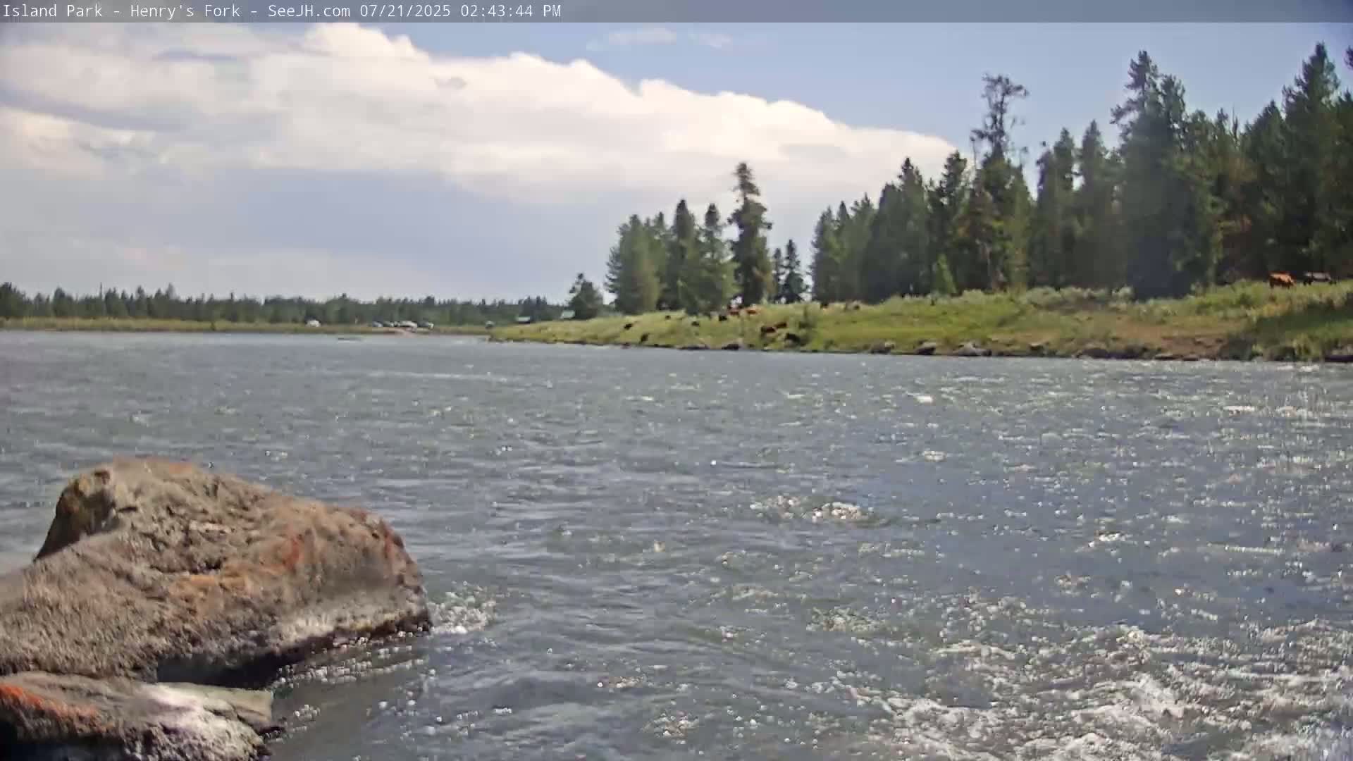 Henry's Fork River from Island Park Village  Live Cam - Island Park, Fremont, Idaho, USA