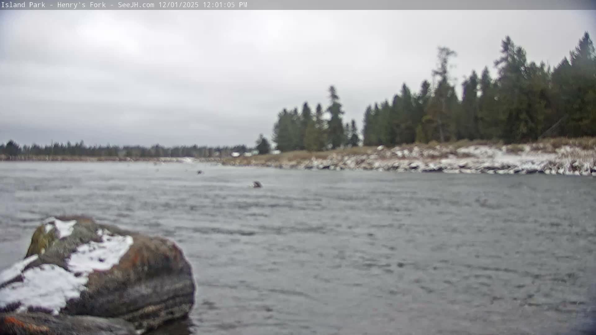 Henry's Fork River from Island Park Village  Live Cam - Island Park, Fremont, Idaho, USA