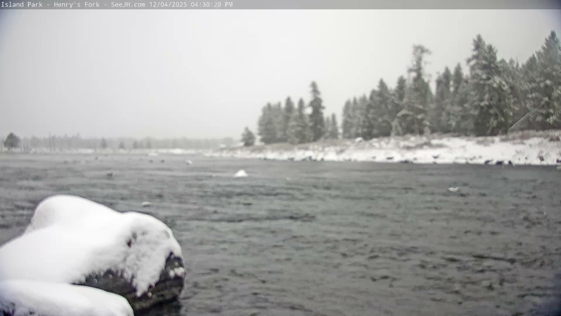 Henry's Fork River from Island Park Village  Live Cam - Island Park, Fremont, Idaho, USA