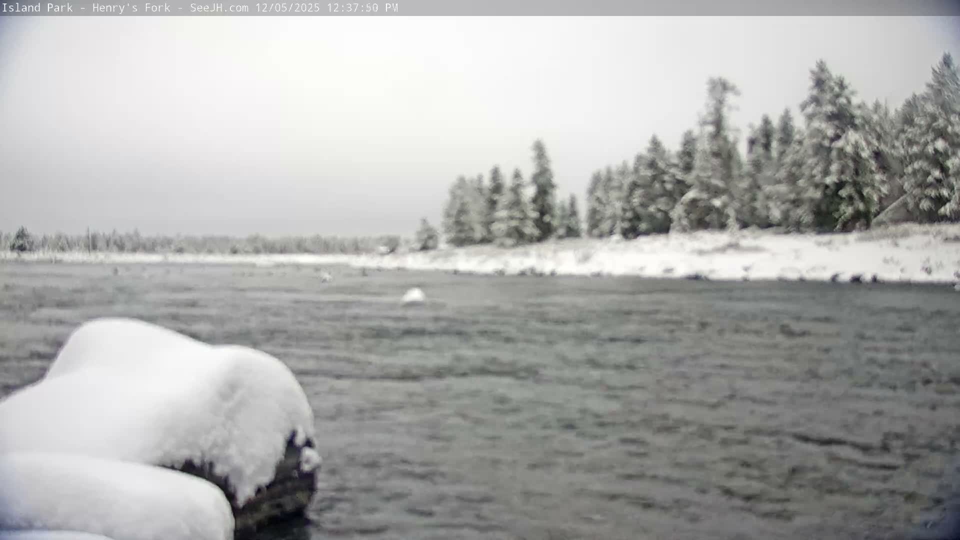 Henry's Fork River from Island Park Village  Live Cam - Island Park, Fremont, Idaho, USA