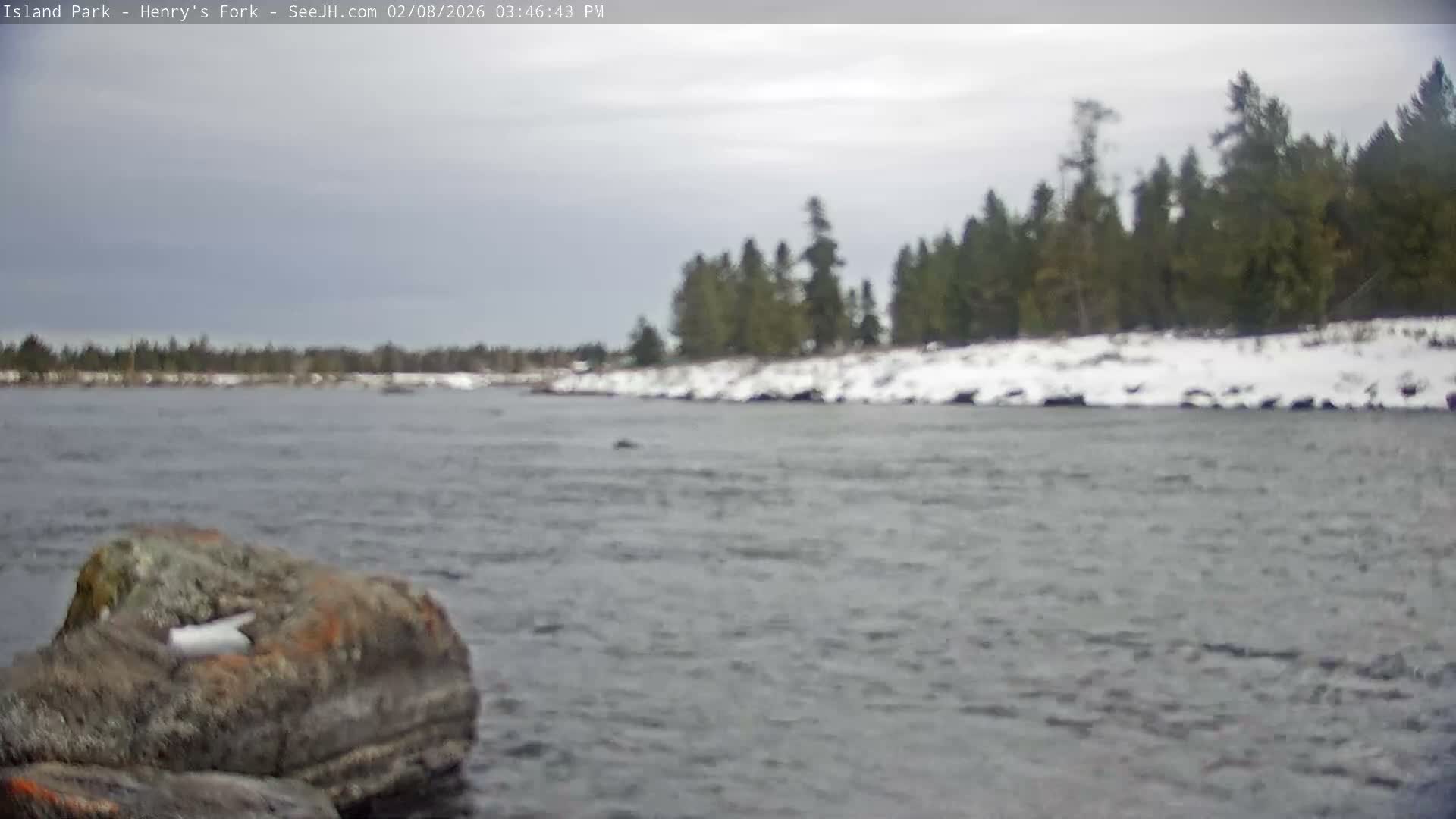 Henry's Fork River from Island Park Village  Live Cam - Island Park, Fremont, Idaho, USA