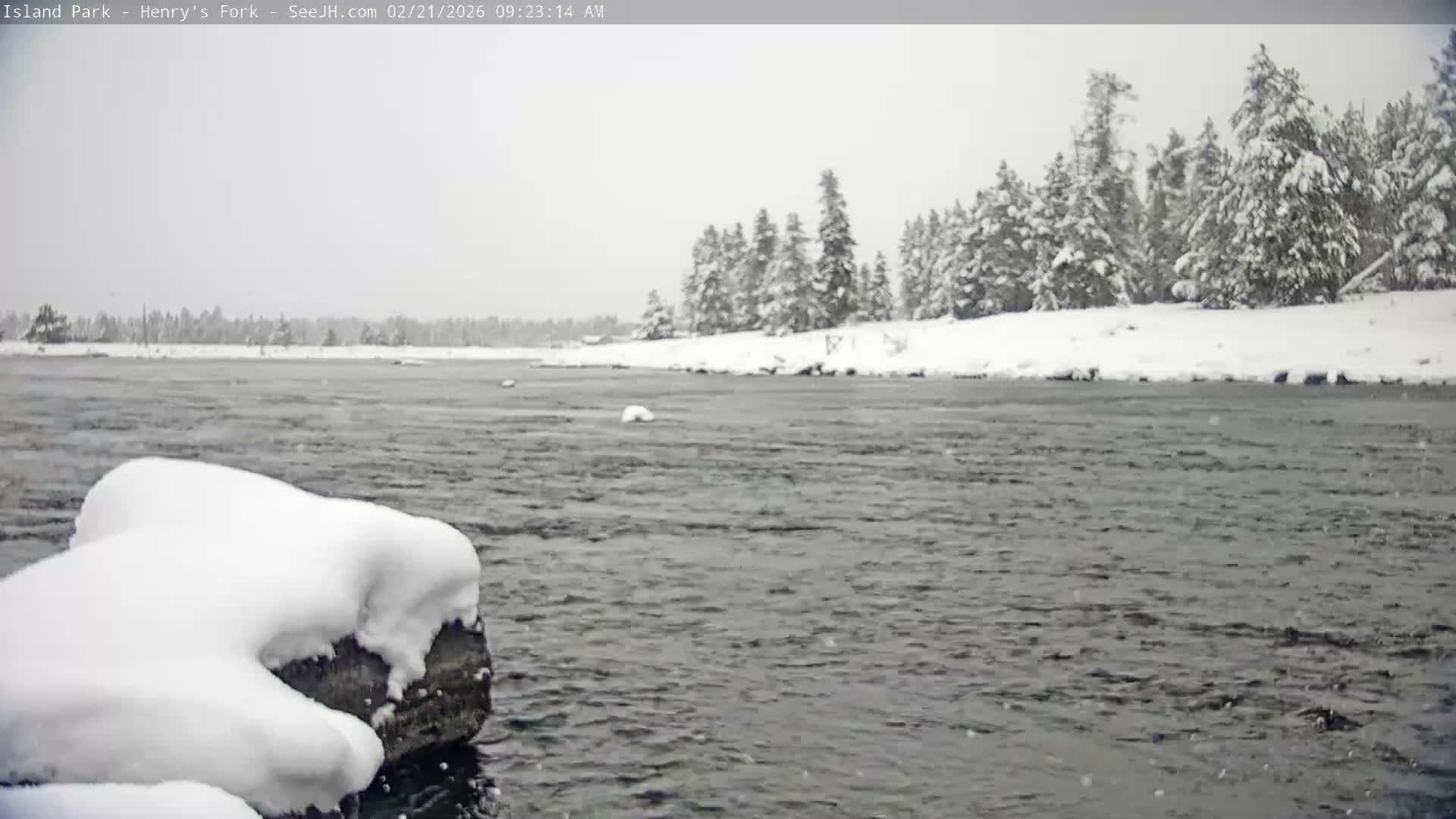 Henry's Fork River from Island Park Village  Live Cam - Island Park, Fremont, Idaho, USA