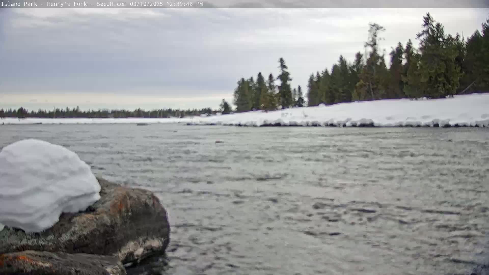 A snow-covered rock sits in the foreground of a flowing river, with a snow-covered shoreline and evergreen trees in the background under an overcast sky.
