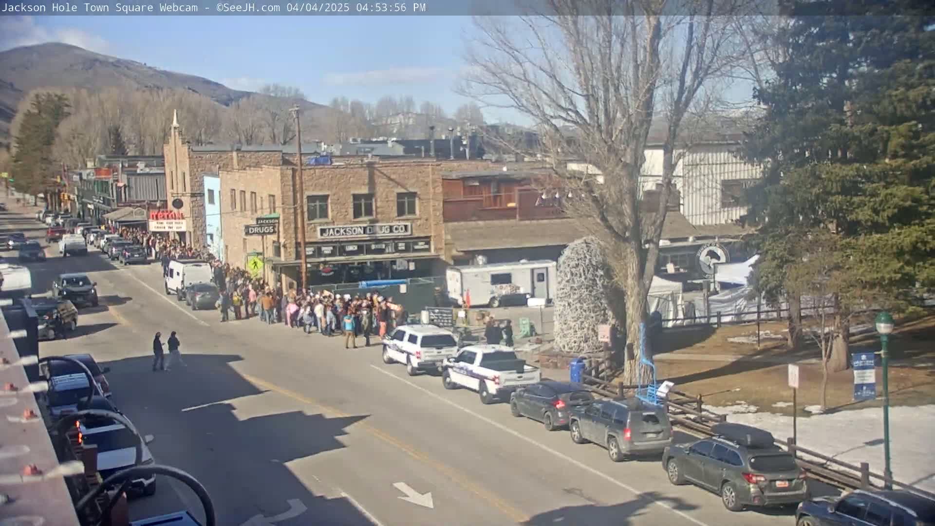 A sunny day reveals a crowd of people standing along a town street, with several police cars parked nearby, in front of shops and buildings, under a mostly clear sky with some branches of bare trees.