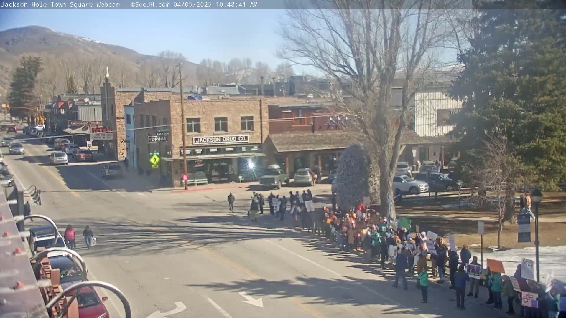 A sunny day in a town square shows a large group of people holding signs, standing along a street in front of brick buildings, with cars parked along the side of the road and several pedestrians walking.