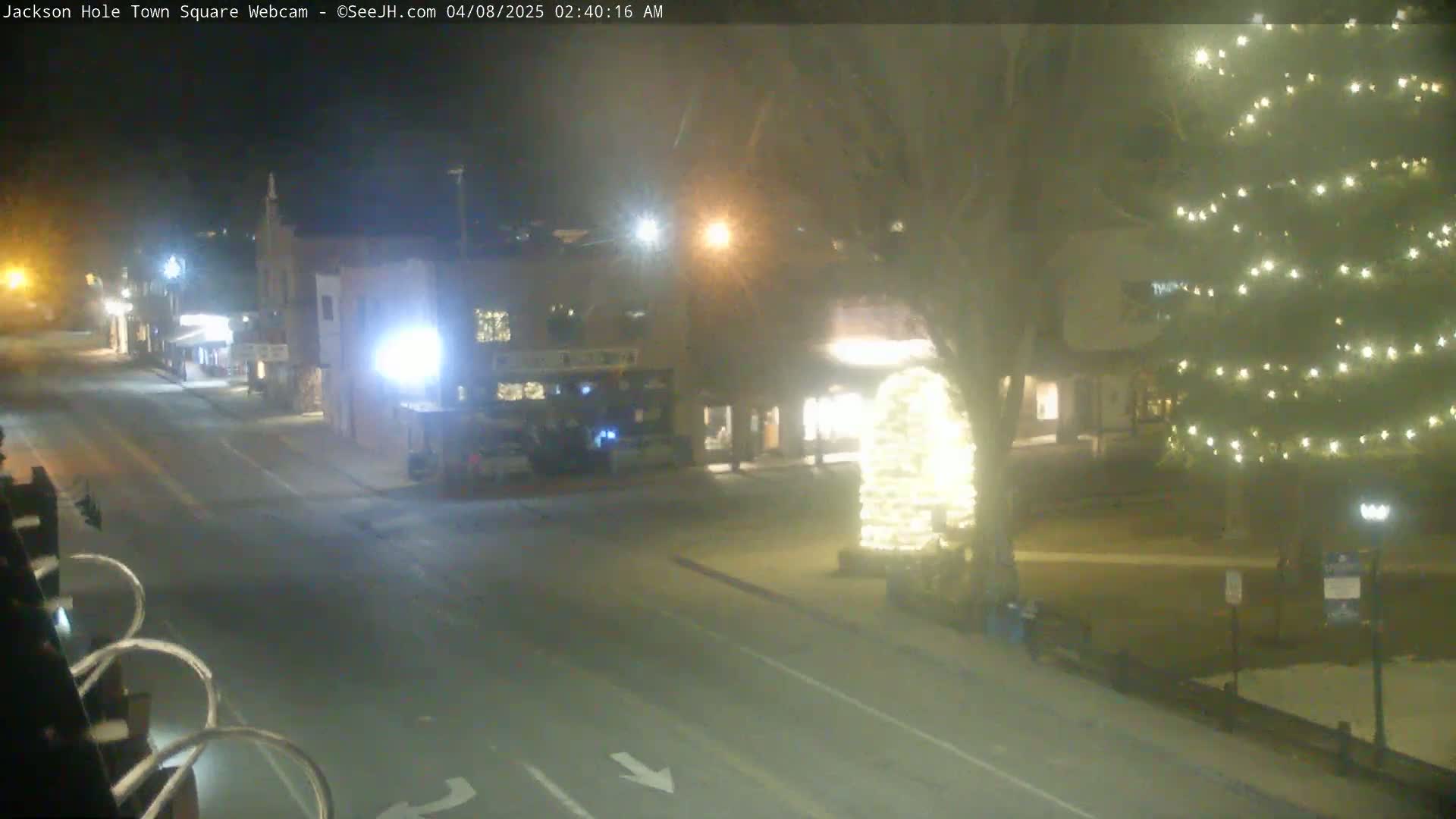 A nighttime view of a town square with a few parked cars, a street, and a large illuminated Christmas tree.