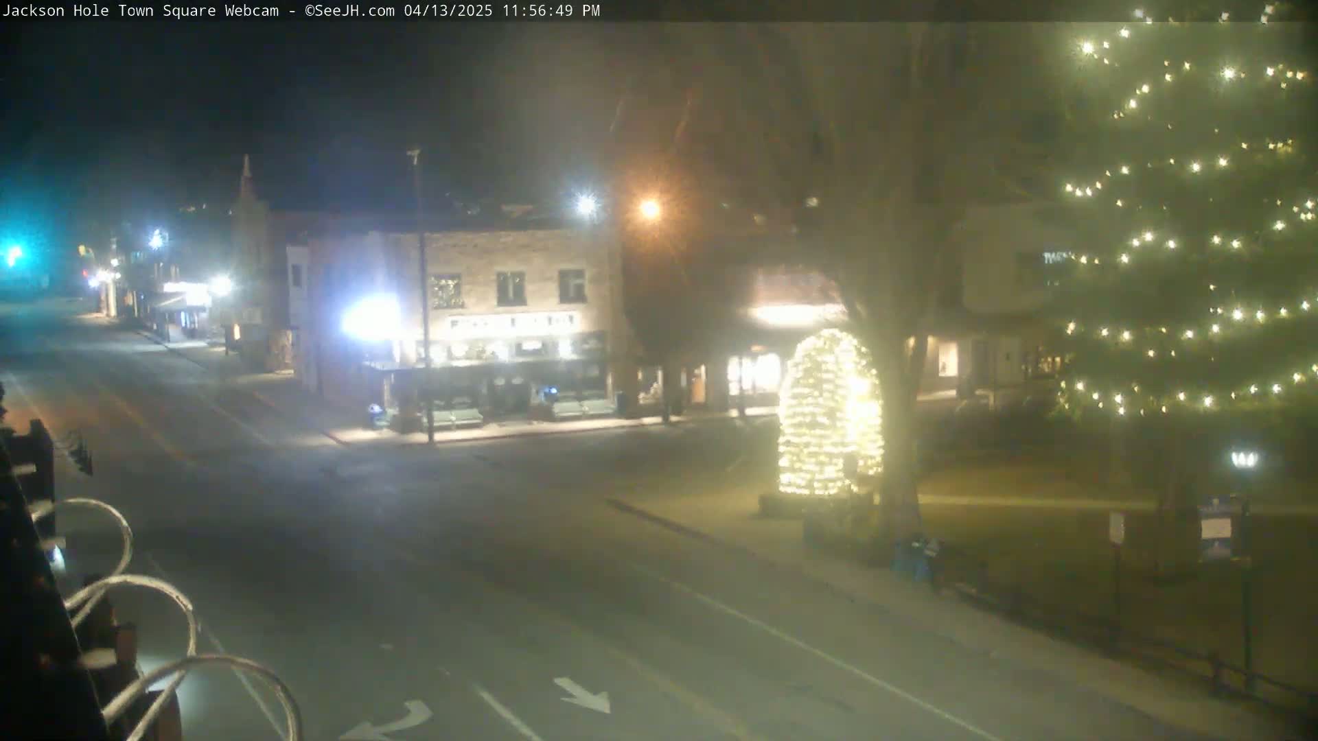 A nighttime view of a town square with a street, buildings, and a large illuminated tree.