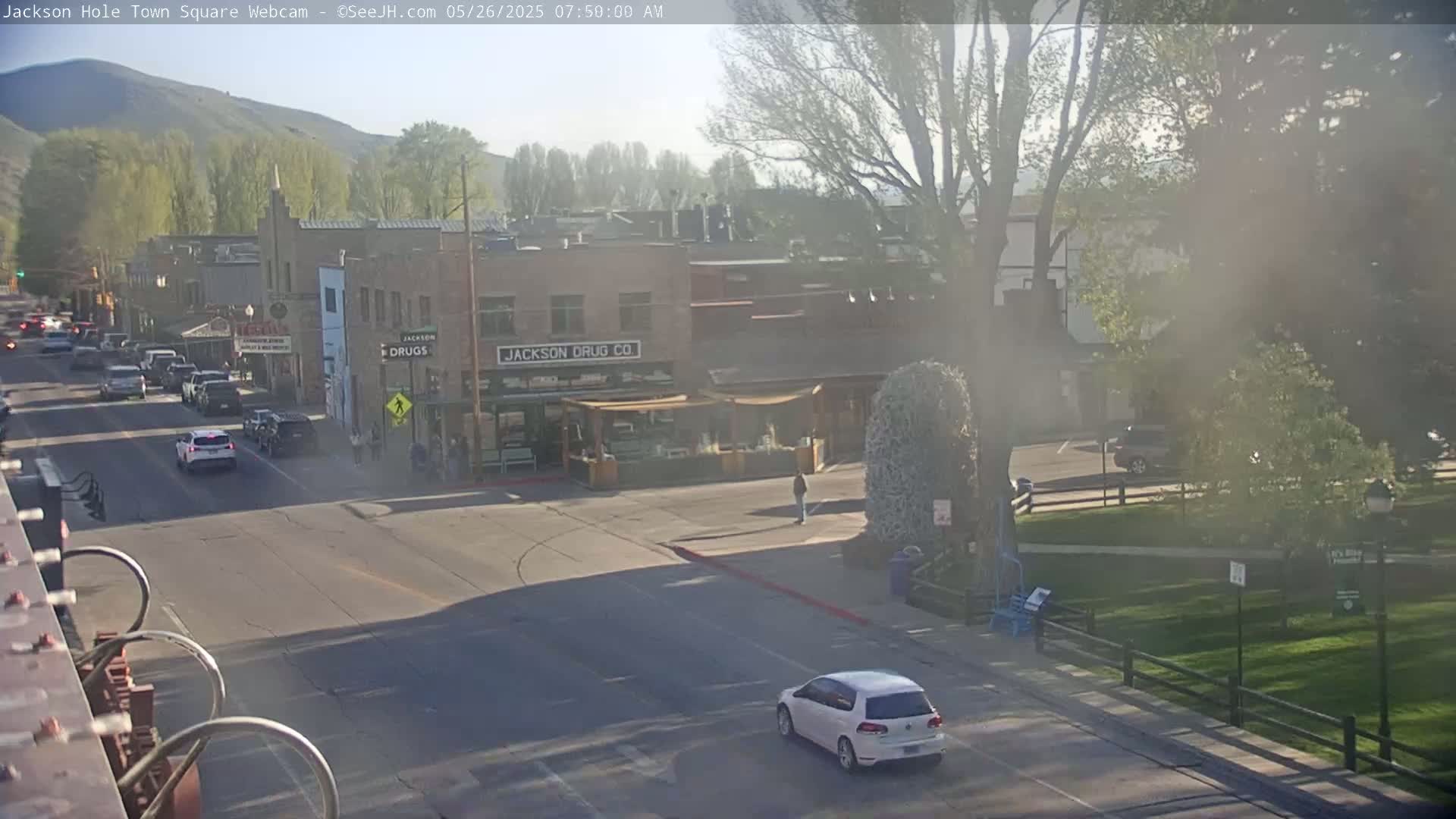 A sunny morning view of a town square, with cars on a street and buildings including one labeled "Jackson Drug Co.", and a grassy park area with trees.