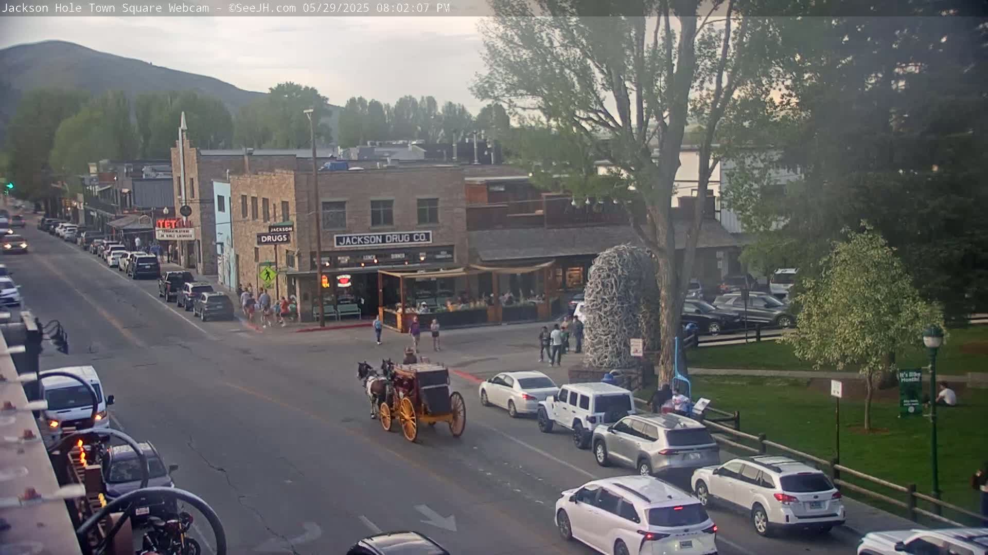 A horse-drawn carriage travels down a street in a town square, with cars parked along the sides, under a partly cloudy evening sky.