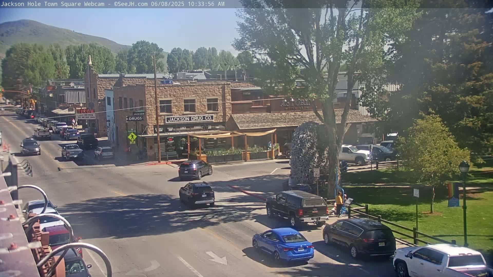 A sunny town square scene shows several cars driving on a street in front of brick buildings, with a grassy park and large tree in the background.