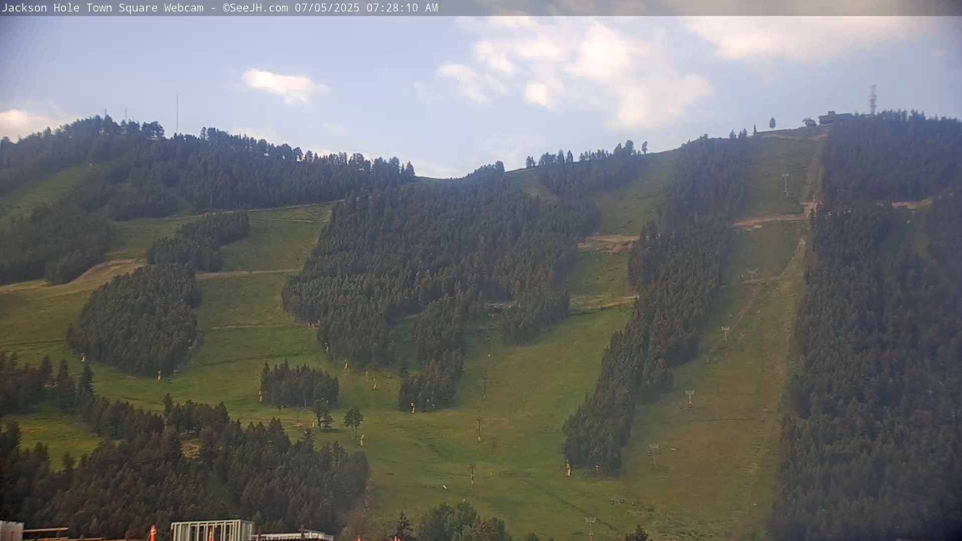 A partly cloudy sky overlooks a grassy hillside dotted with evergreen trees and ski lifts.