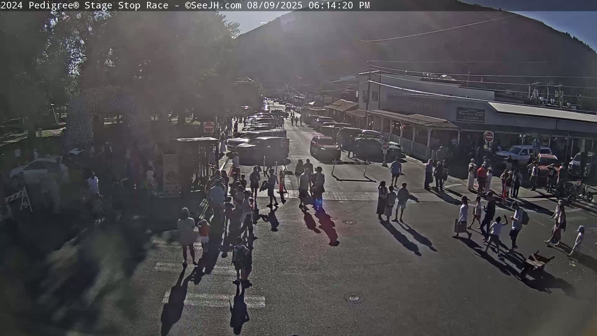 Jackson Hole's Elk Antler Arch Live Cam - Jackson, Teton, Wyoming, USA