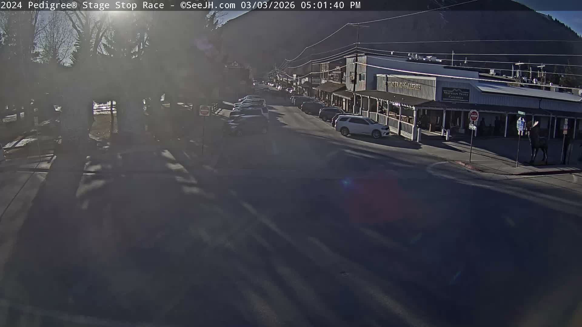 Jackson Hole's Elk Antler Arch Live Cam - Jackson, Teton, Wyoming, USA