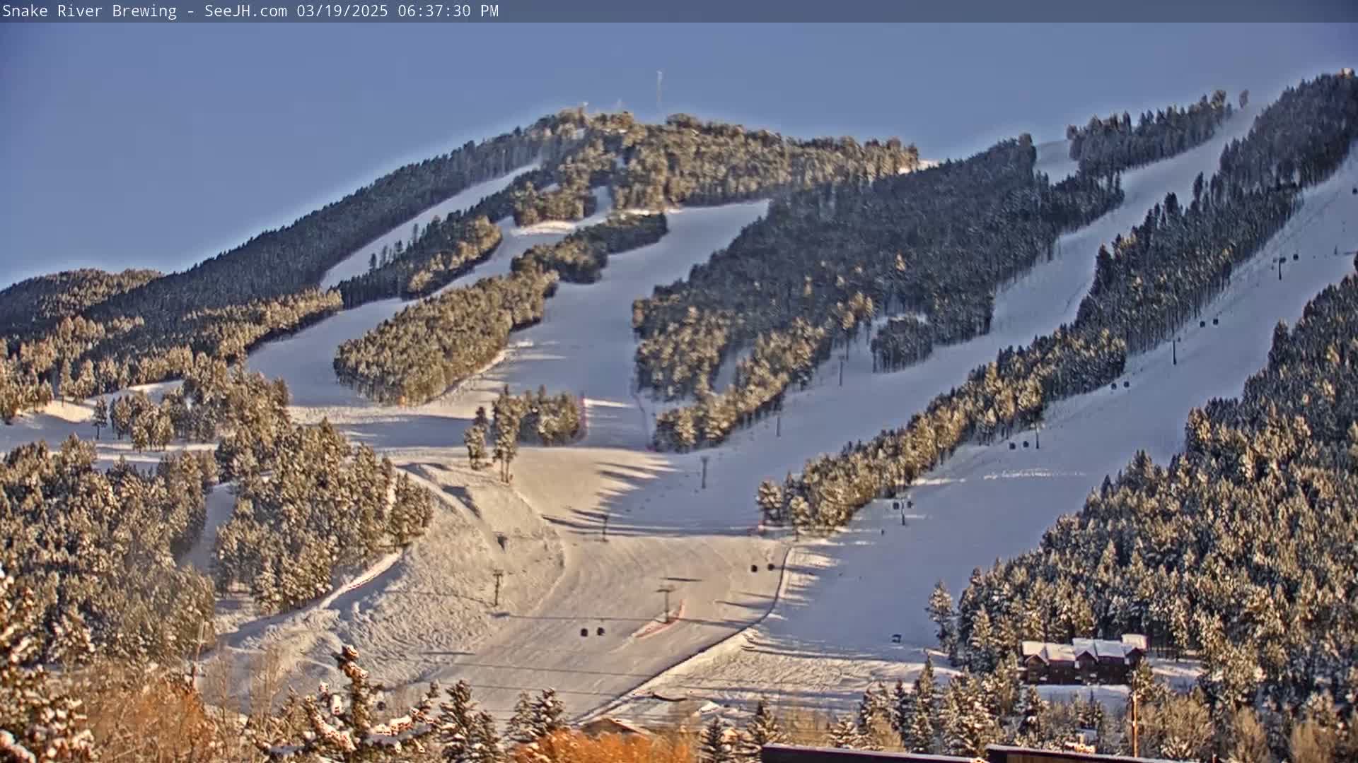 A snow-covered ski resort with numerous runs and trees under a clear, sunny sky.