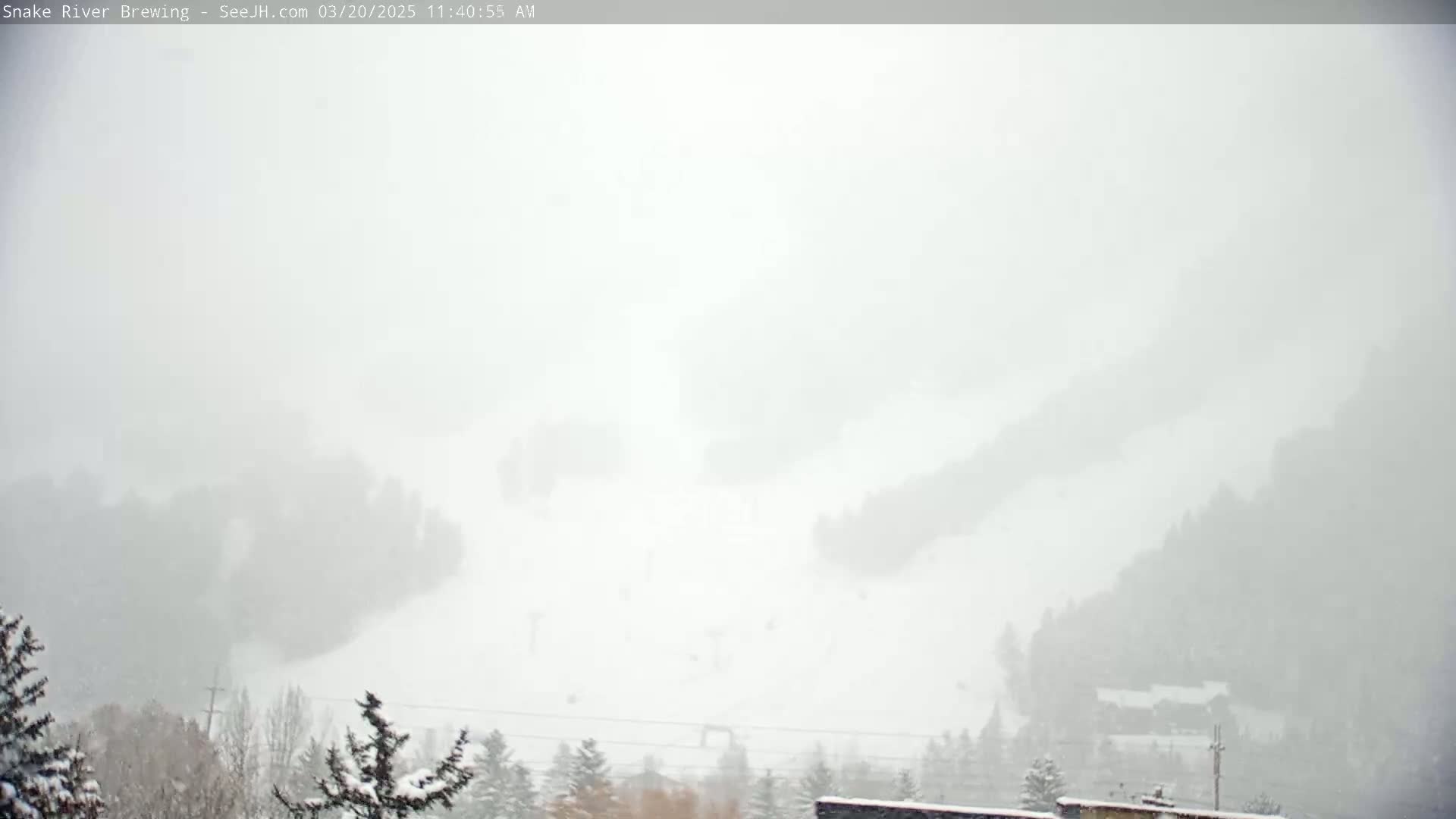 A snowy, hazy view of a snow-covered landscape with trees and what appears to be a ski area in the distance.