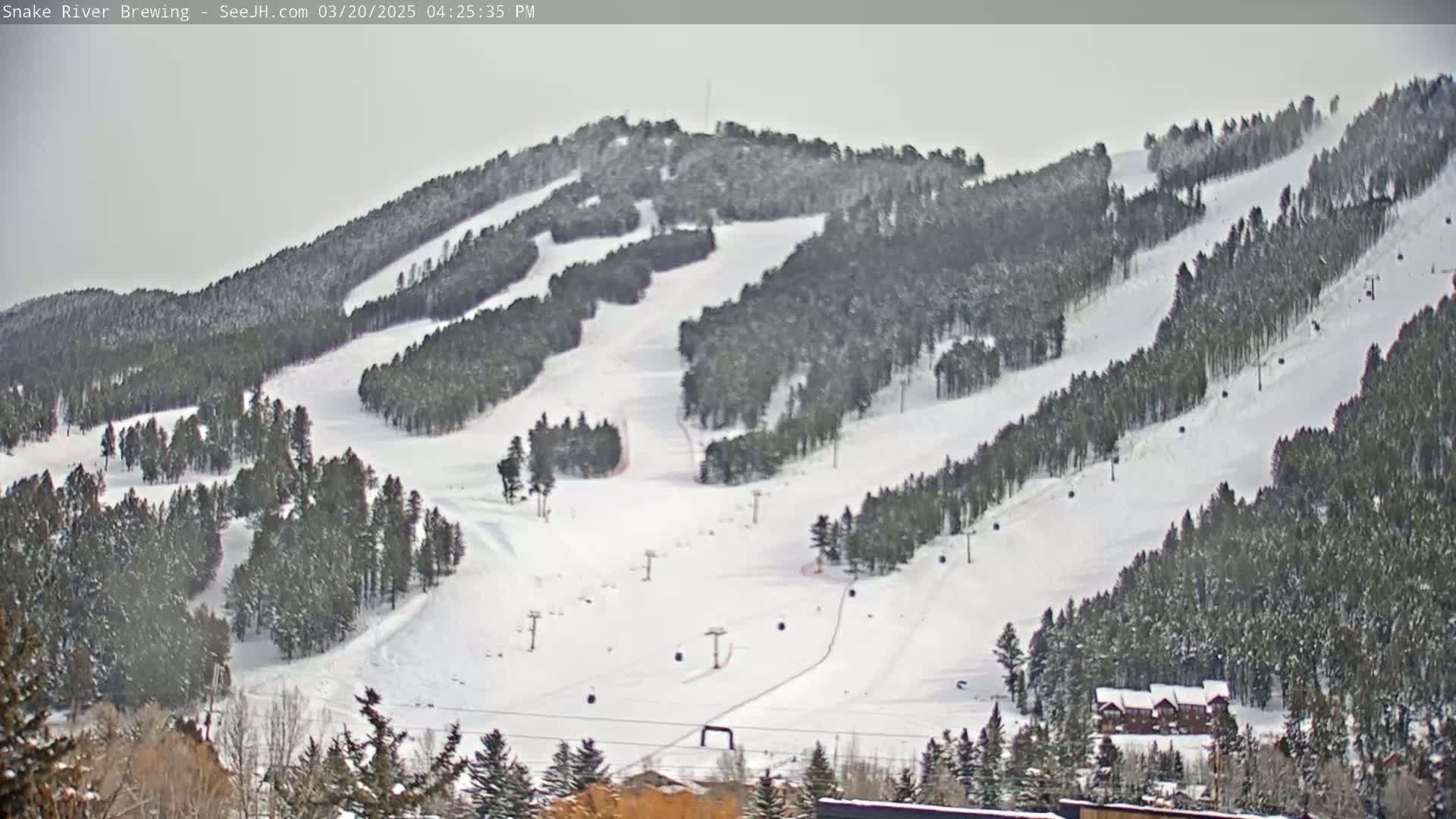 A snow-covered ski slope with several ski lifts and evergreen trees under an overcast sky.
