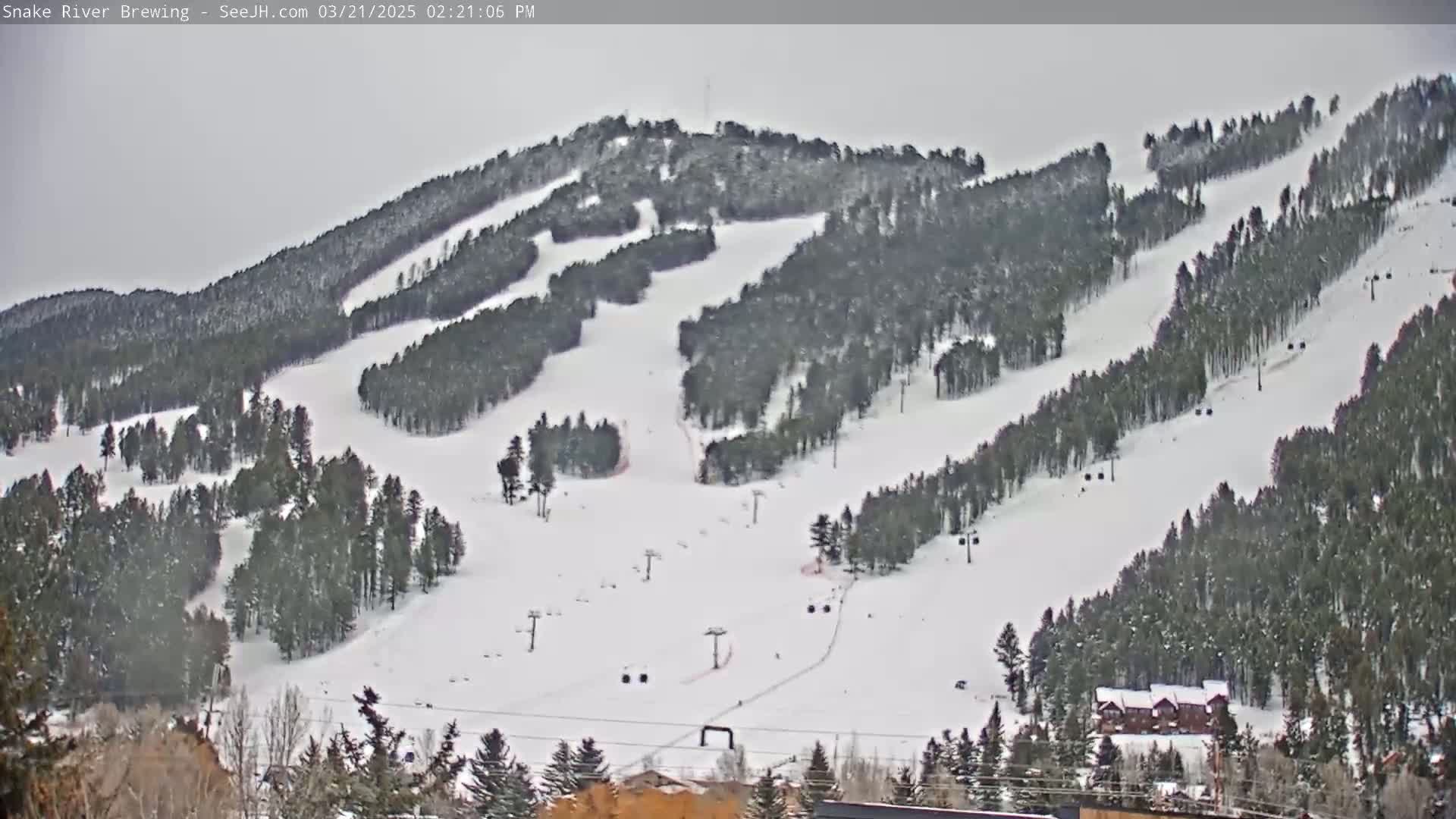 A snow-covered ski resort with several runs winding through evergreen trees under an overcast sky.