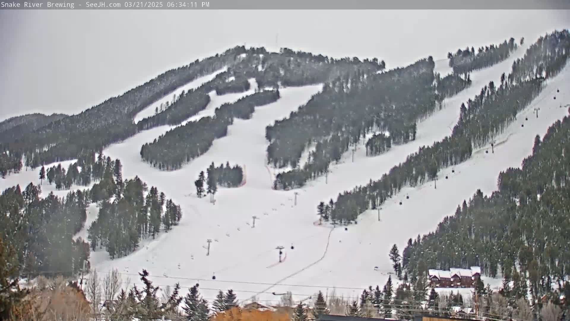 A snow-covered ski resort with several ski runs winding through a dense pine forest under an overcast sky.