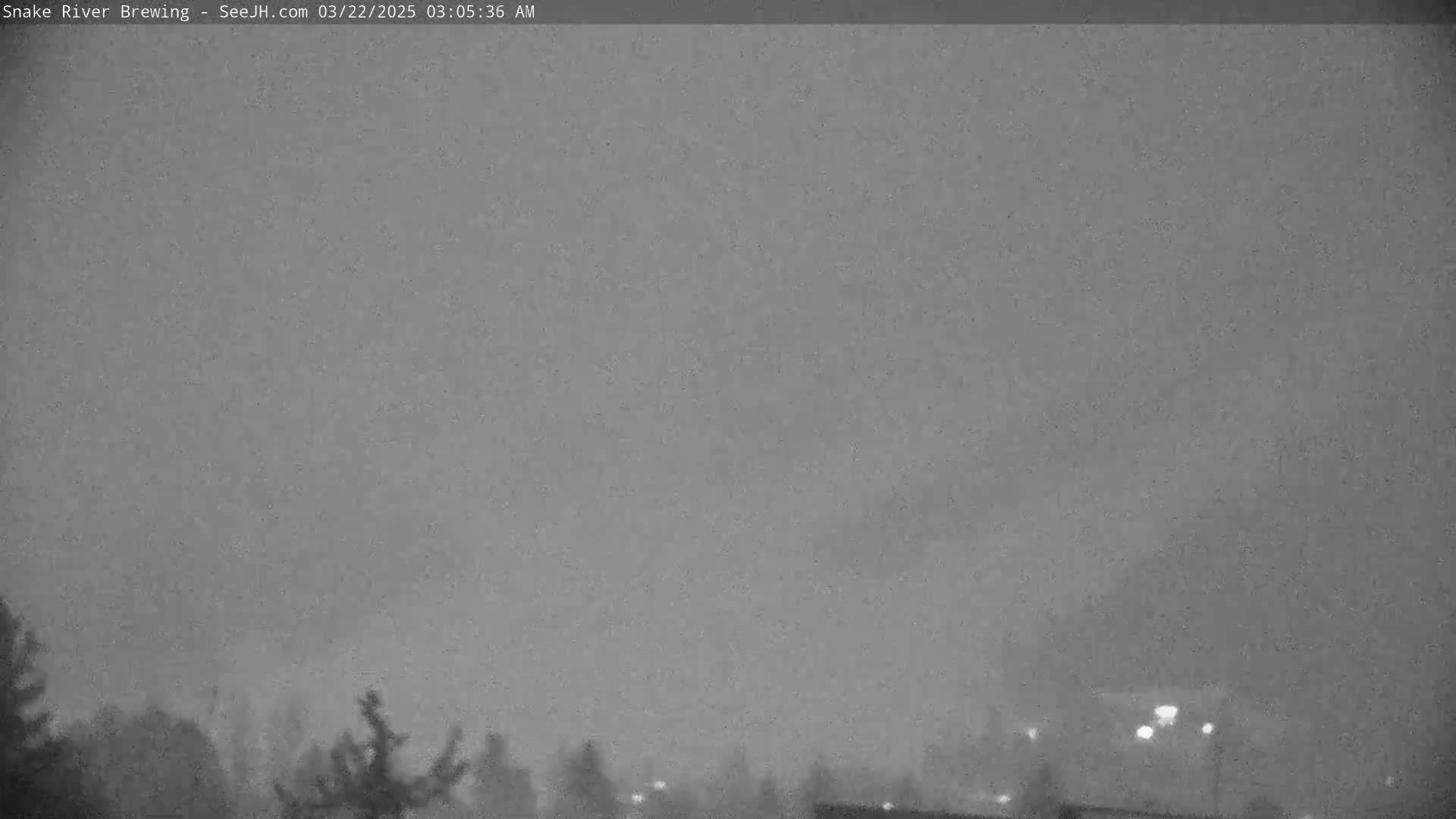 A low-light, overcast scene shows a mostly featureless gray sky over a dark line of trees and distant lights.