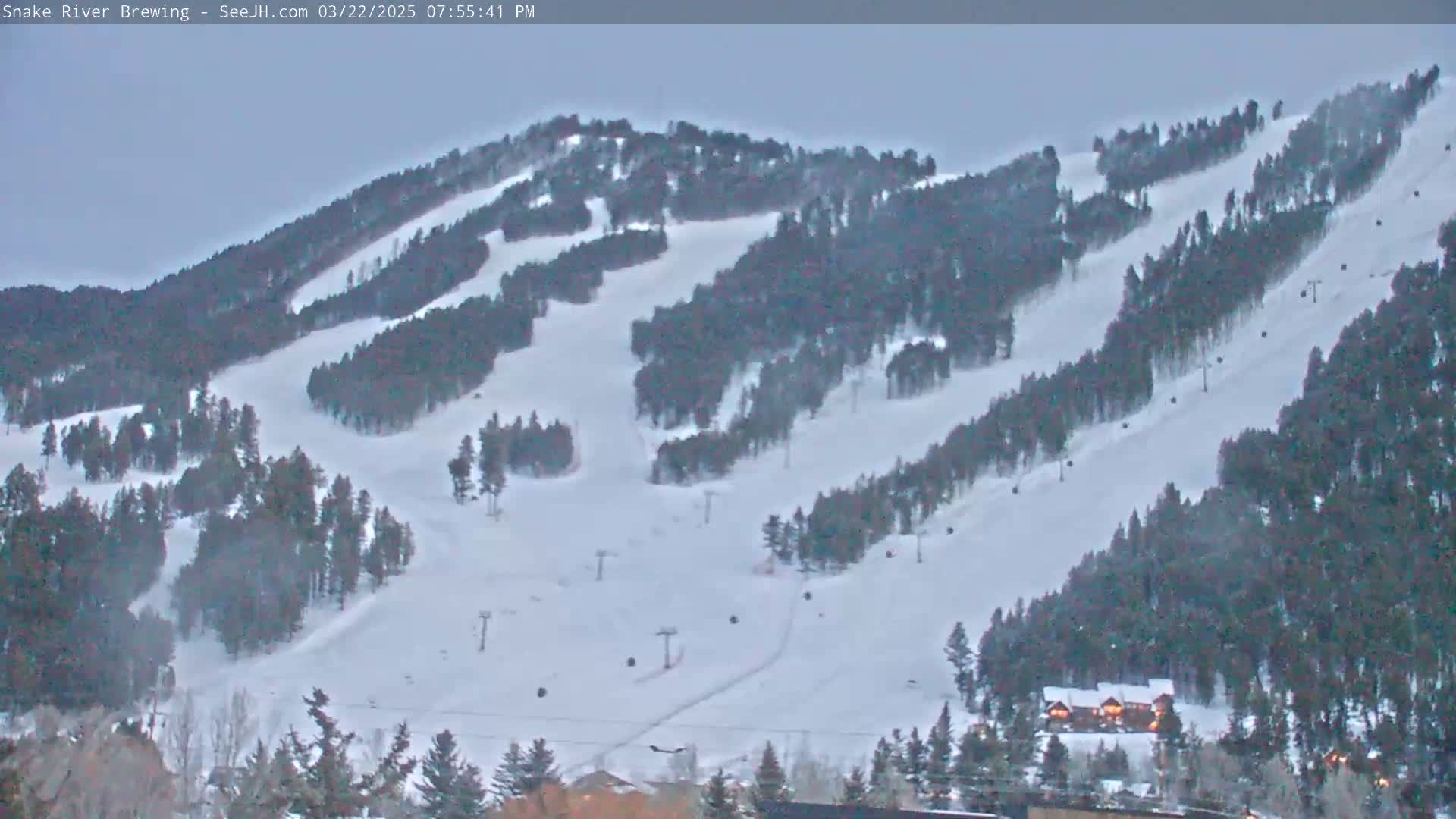 A snow-covered ski slope with ski lifts and evergreen trees under an overcast sky.