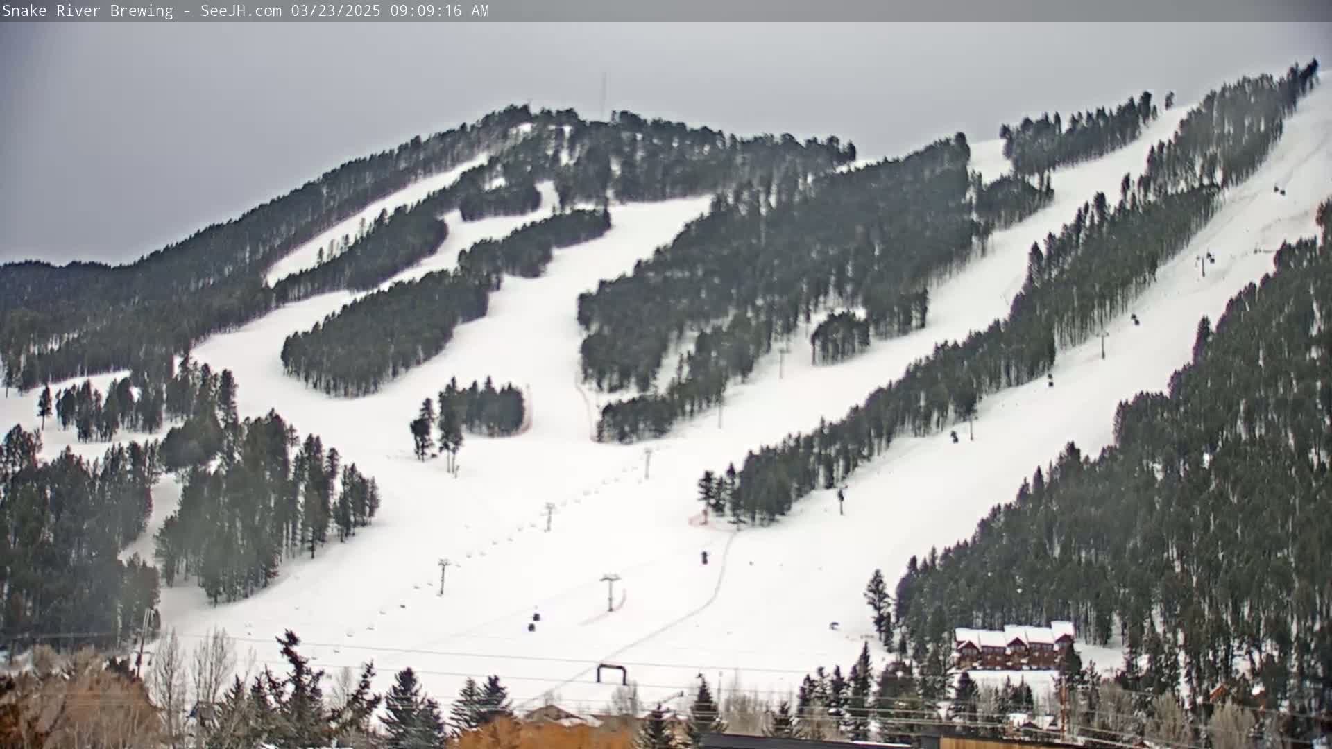 A snow-covered ski slope with dark evergreen trees is visible under an overcast sky.