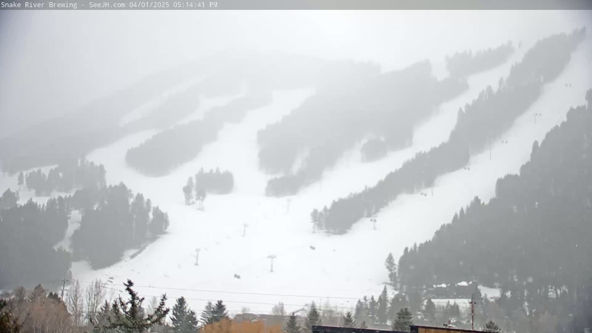 A snow-covered ski slope with sparsely populated trees is visible through a heavy snowfall.