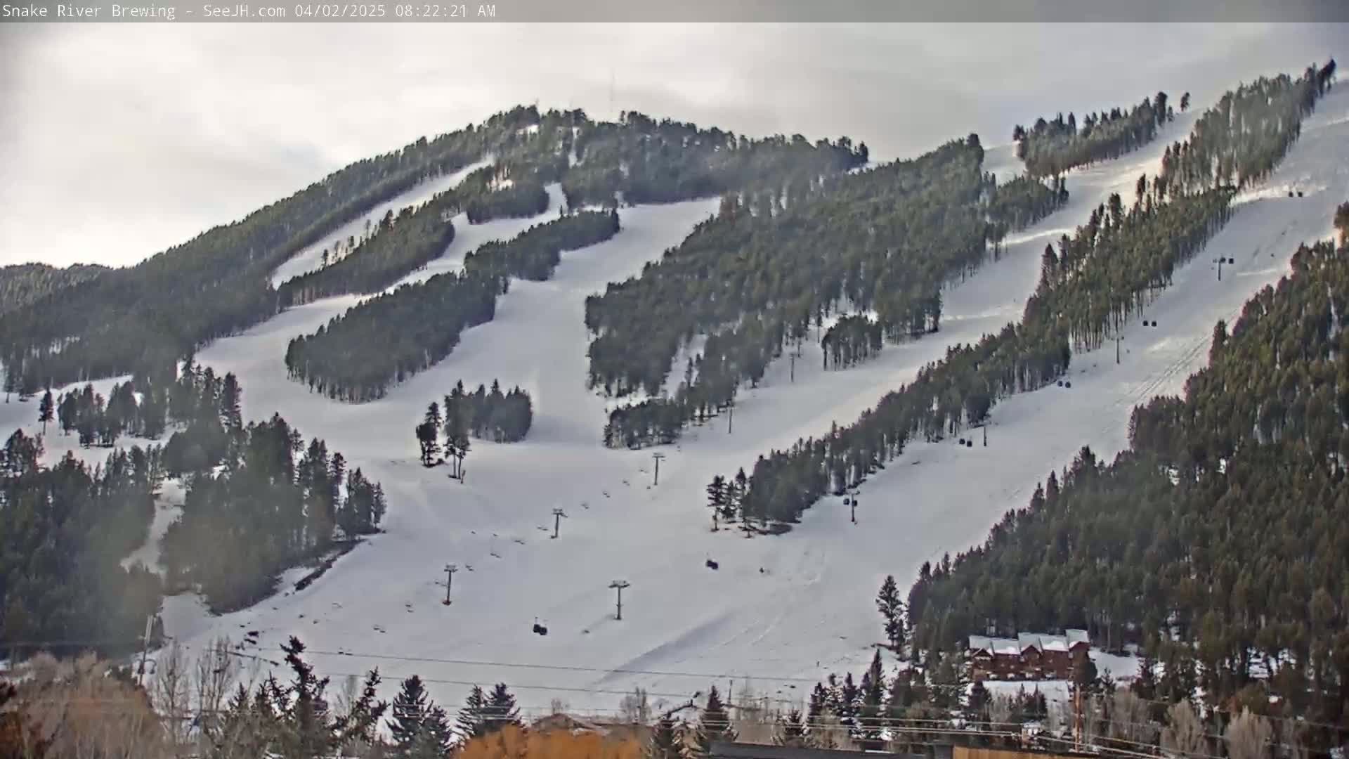 A snow-covered ski slope with several ski lifts is nestled among dark evergreen trees under an overcast sky.