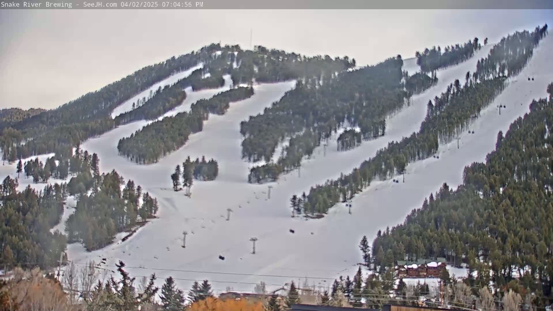 A snow-covered ski slope with several runs winding through a coniferous forest under an overcast sky.