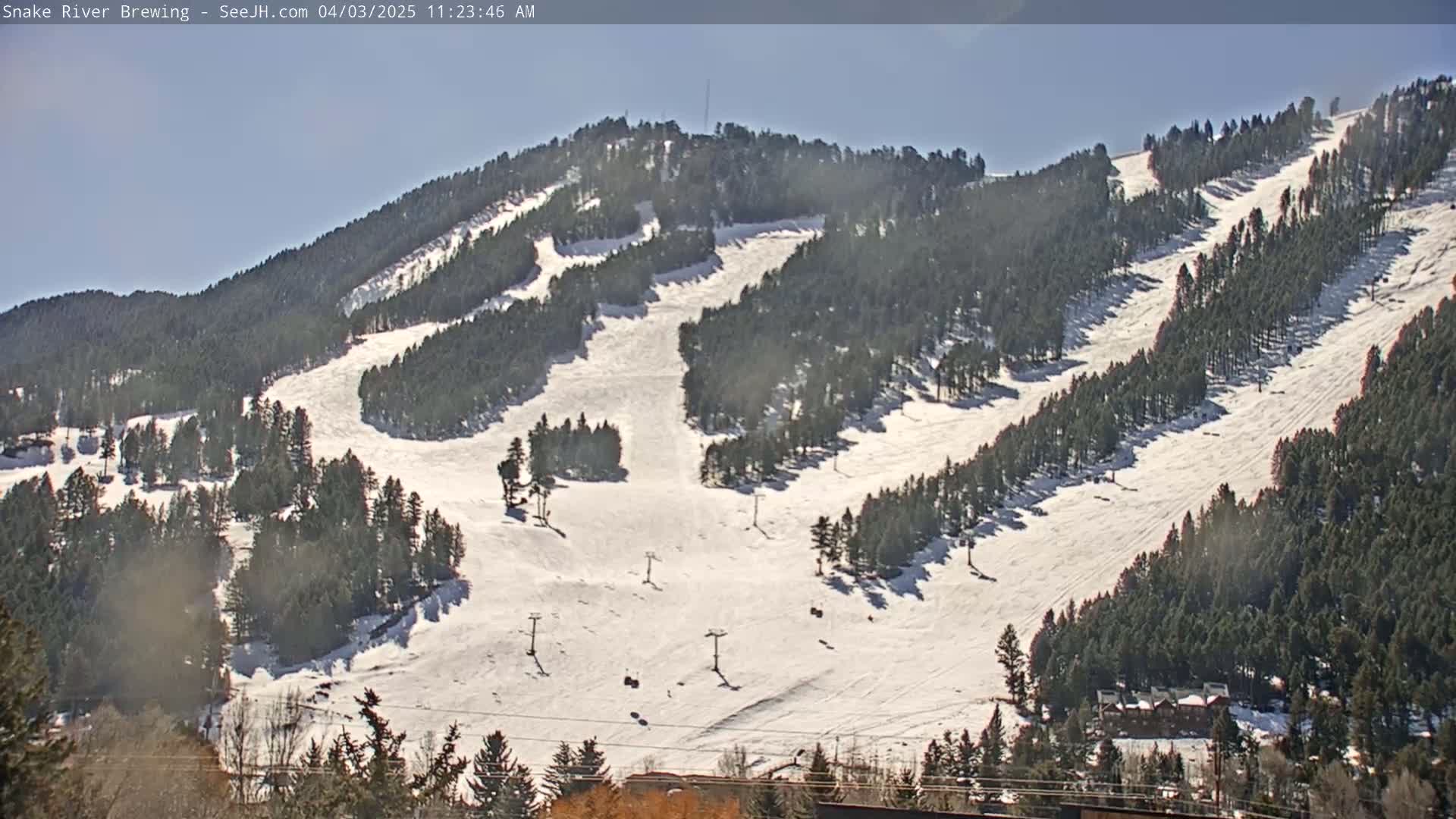 A snow-covered ski slope winds down a mountainside through a forest of evergreen trees under a clear, sunny sky.