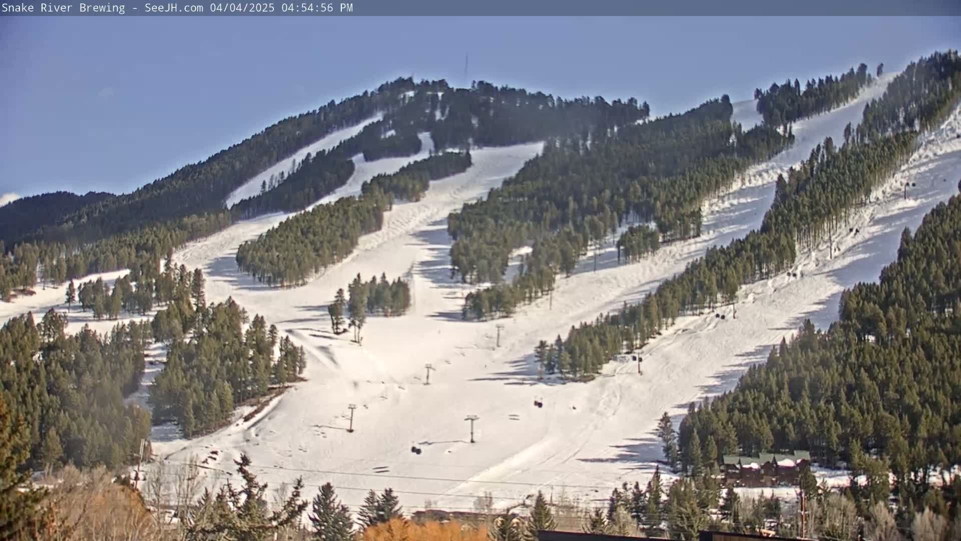 A snow-covered ski slope with evergreen trees under a sunny sky is seen from a high vantage point.